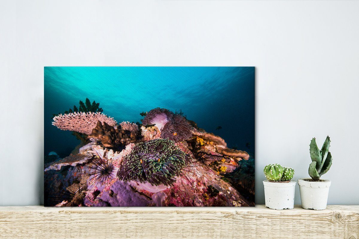 OneMillionCanvasses® Leinwandbild Korallen Wandbild Leinwandbilder, in einem (1 30x20 cm Meer, dunklen Aufhängefertig, Bunte Wanddeko, St)