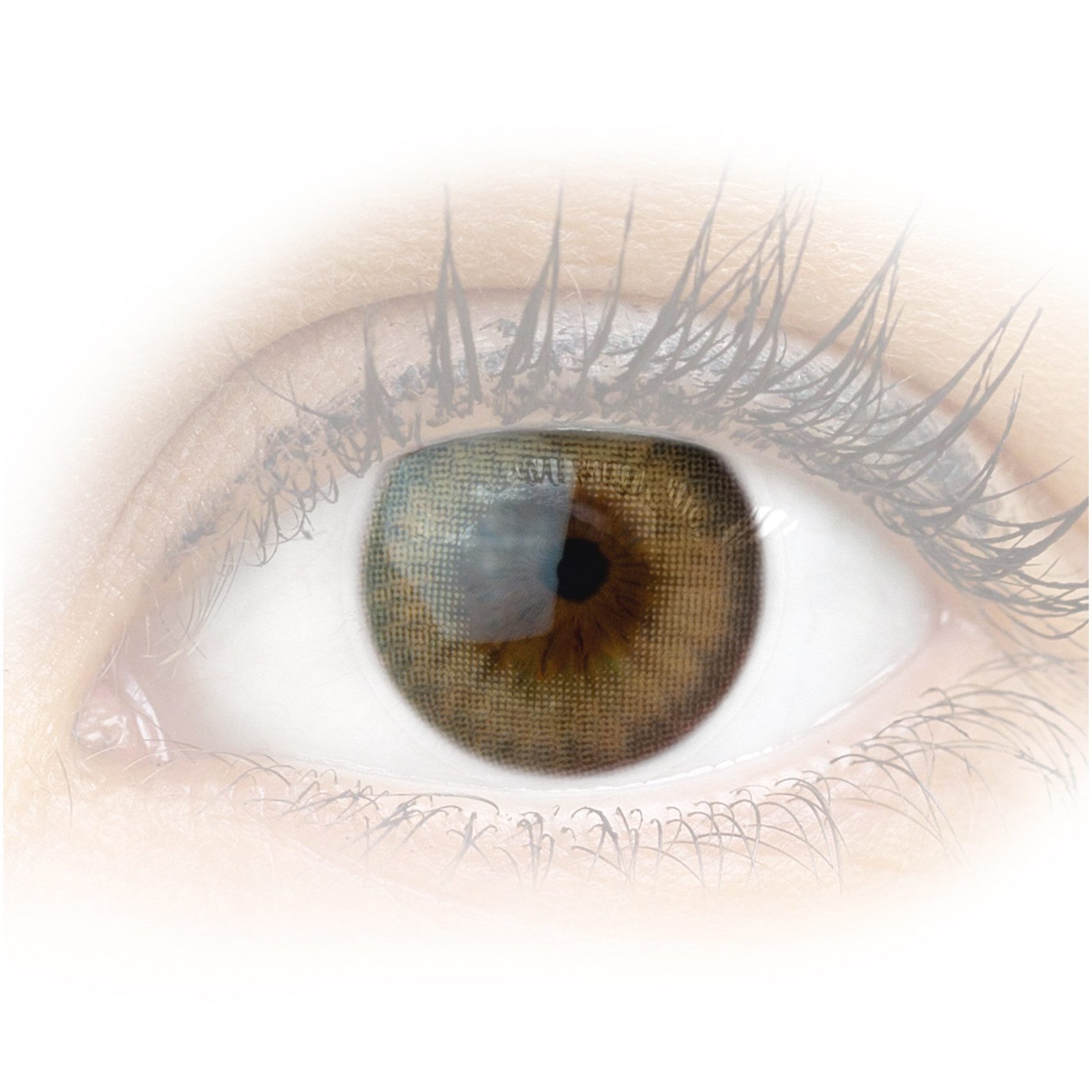 GLAMLENS Monatslinsen Sehr stark deckende und natürliche braune Linsen "Padua Beige"