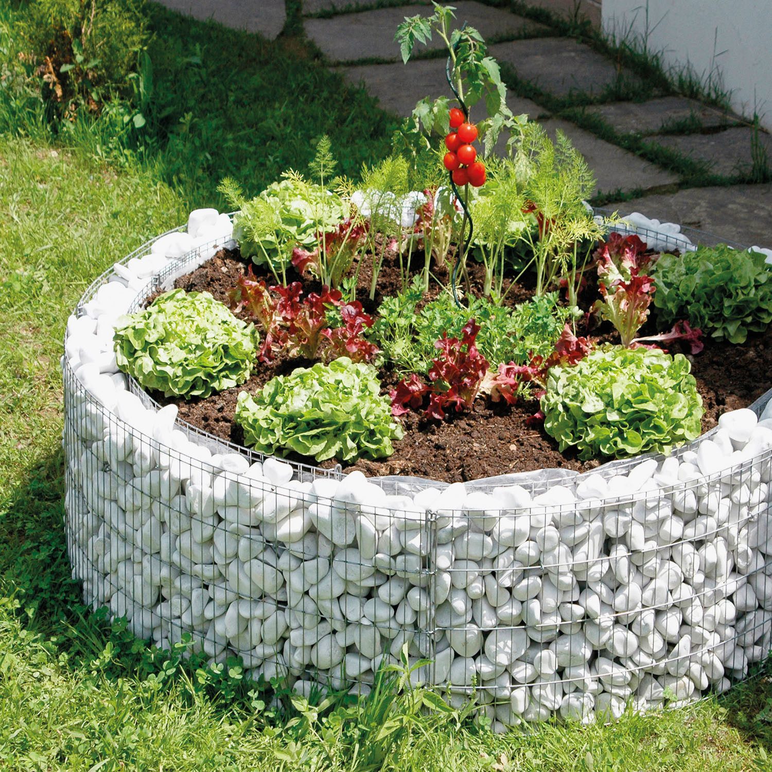 Bellissa Hochbeet Gabionen-Hochbeet rund 92/72cm H:40cm Gabionenkörbe DIY-Bausatz – Bild 4 von 5