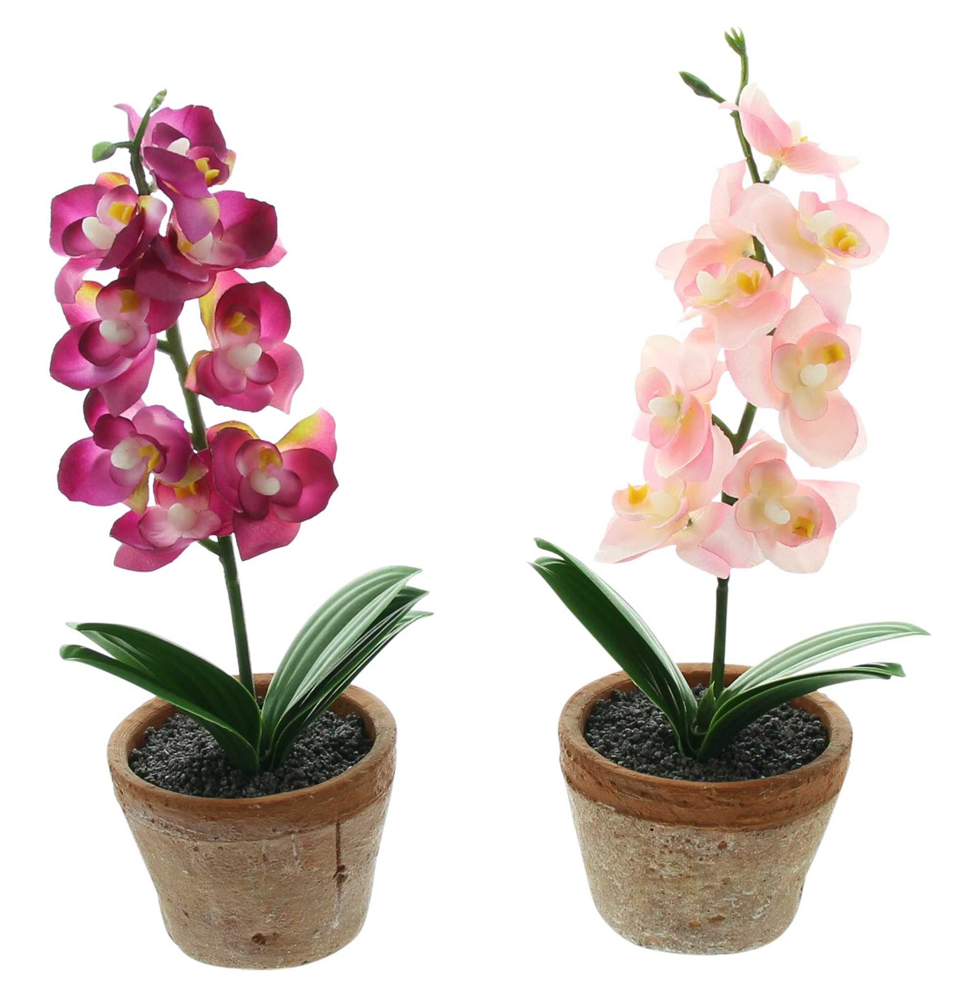 Kunstorchidee im Topf, Kunstpflanze, 2er Set künstliche Orchidee, Kunstblumen Orchidee, Dekoleidenschaft, Höhe 25 cm, Pflanzen wie echt, kleine Blumen in rosa und pink