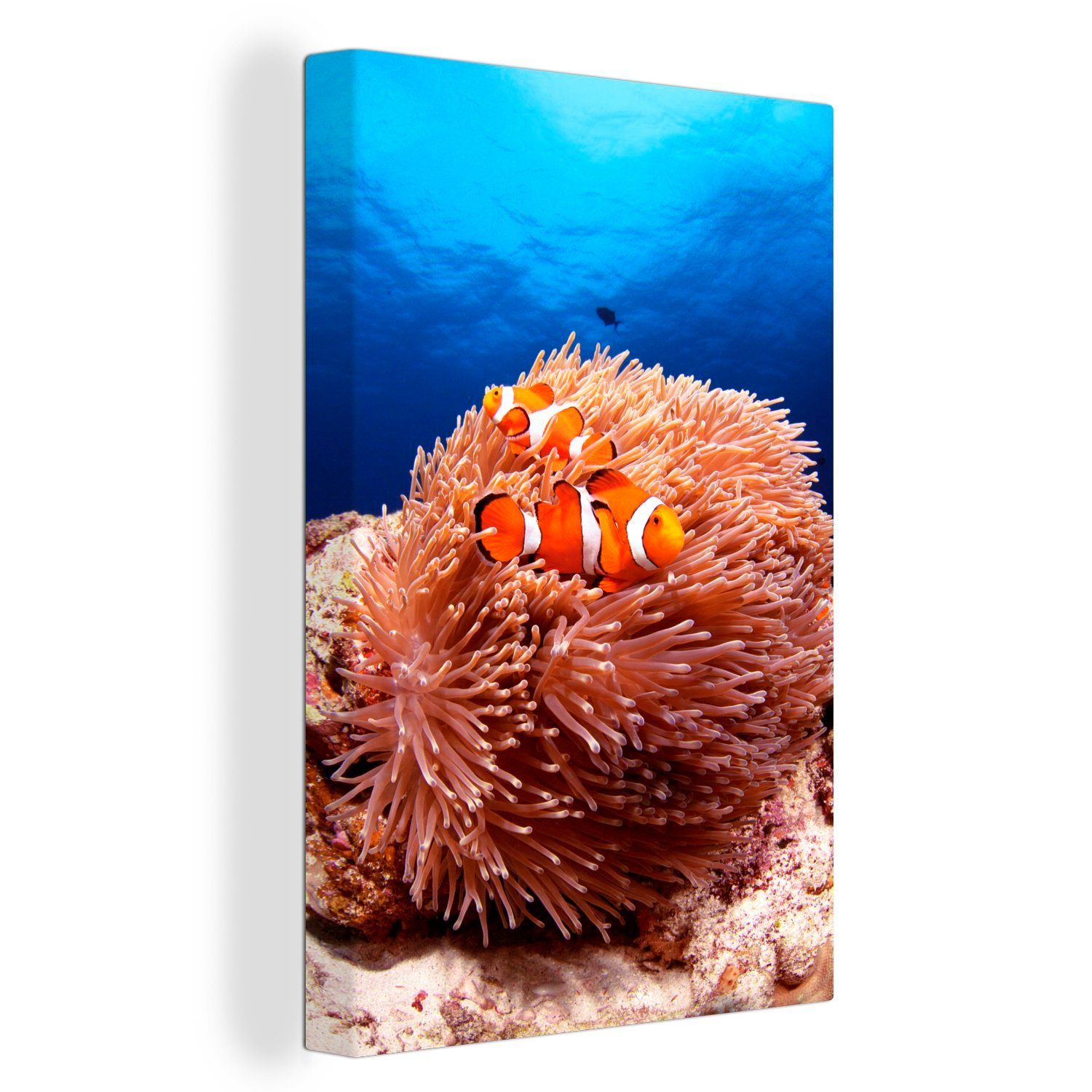 OneMillionCanvasses® Leinwandbild Fisch - Meer - Orange, (1 St), Leinwandbild fertig bespannt inkl. Zackenaufhänger, Gemälde, 20x30 cm