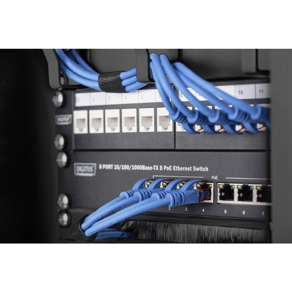 Digitus Netzwerkschrank 254 mm (10) 1HE Kabelrangierpanel 3x Kabelringe, 44x254x60