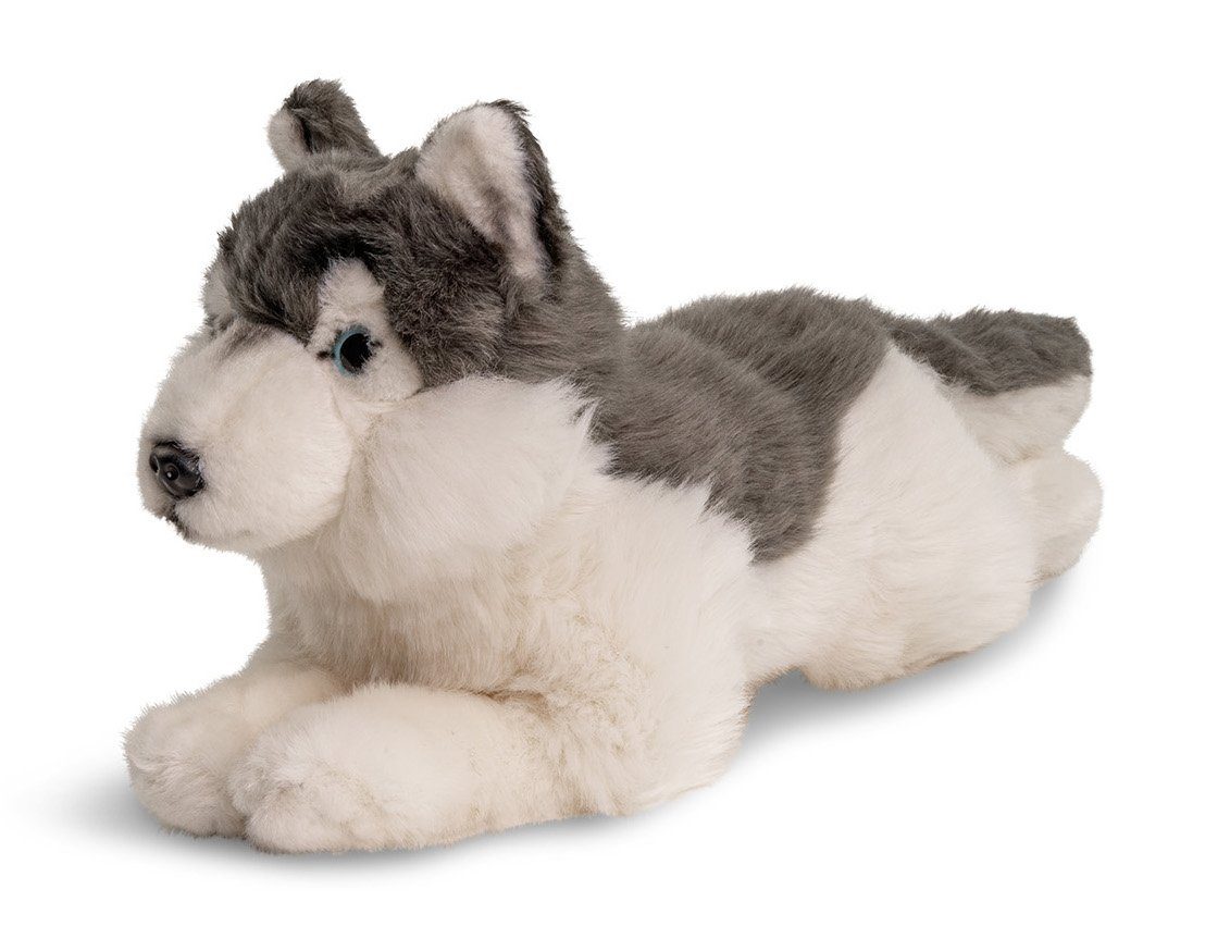 Kuscheltier zu % 38 Husky 100 Plüsch-Hund grau, - recyceltes Uni-Toys (Länge) - cm - Plüschtier, liegend Füllmaterial