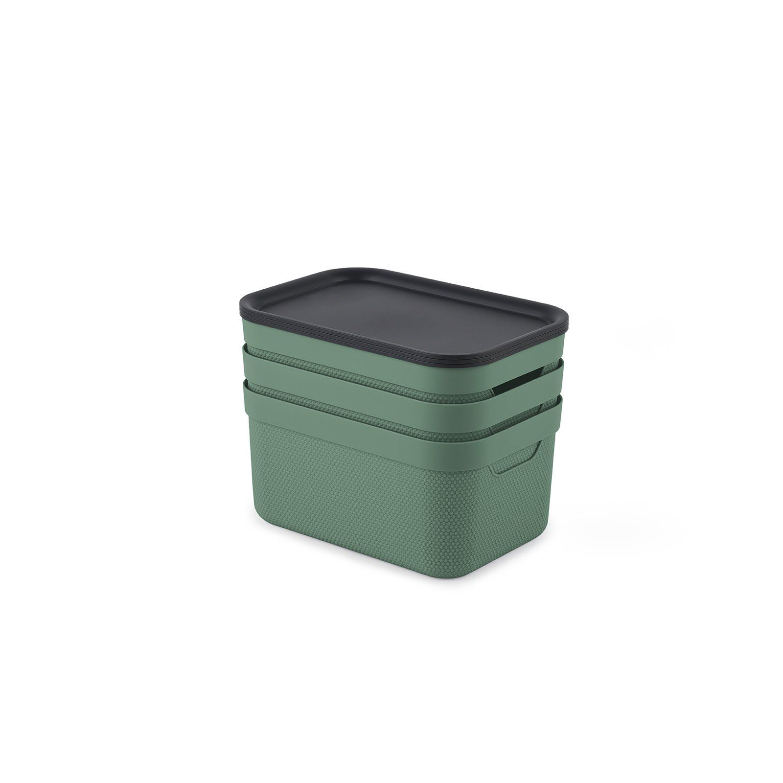 green Aufbewahrungsbox ROTHO 3er-Set) Dekobox ged. 5l mit 3er-Set Deckel (Aufbewahrungsset, Jive Aufbewahrungskorb Spray Sea