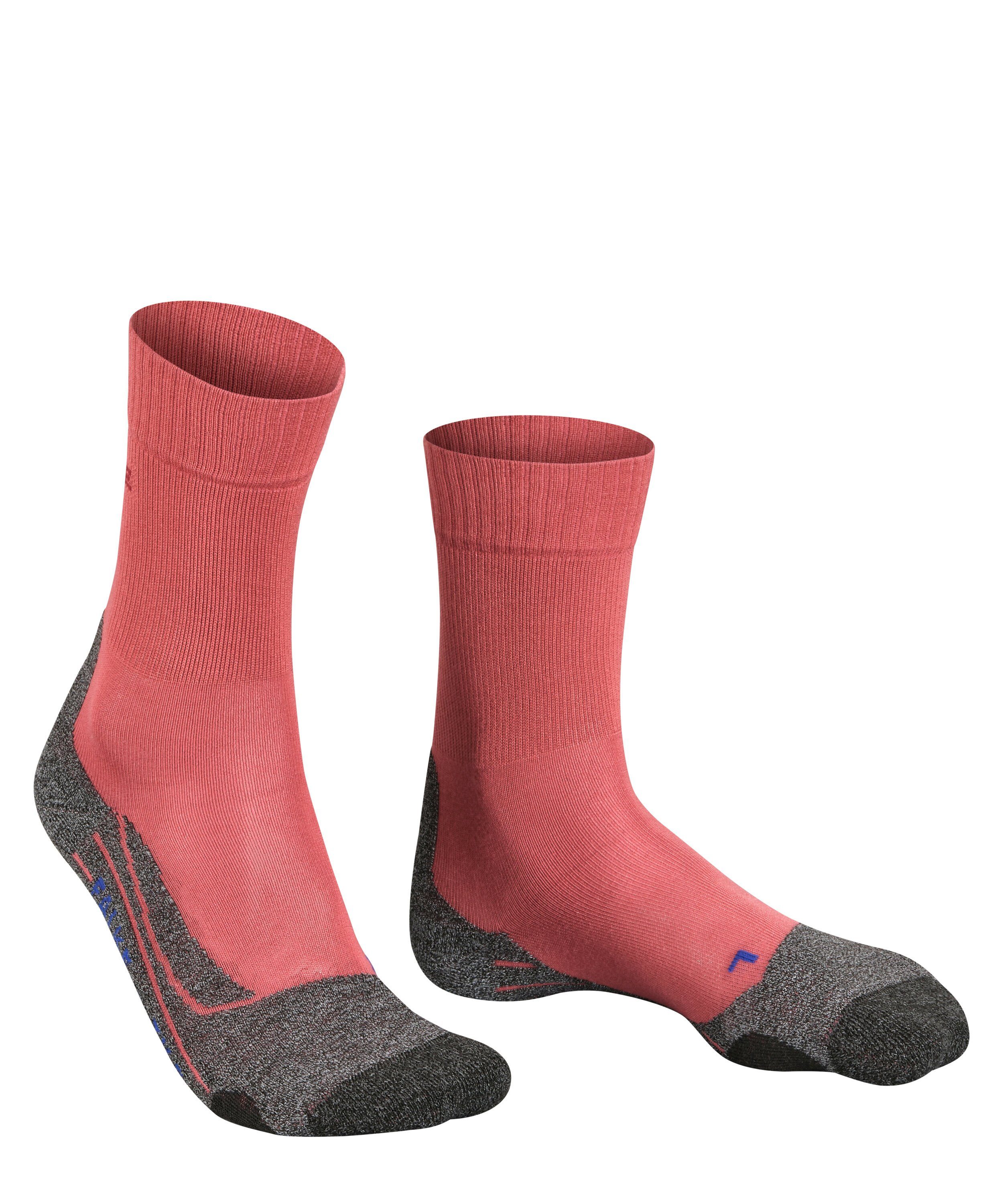 FALKE Wandersocken TK2 Explore Cool (1-Paar) günstig online kaufen