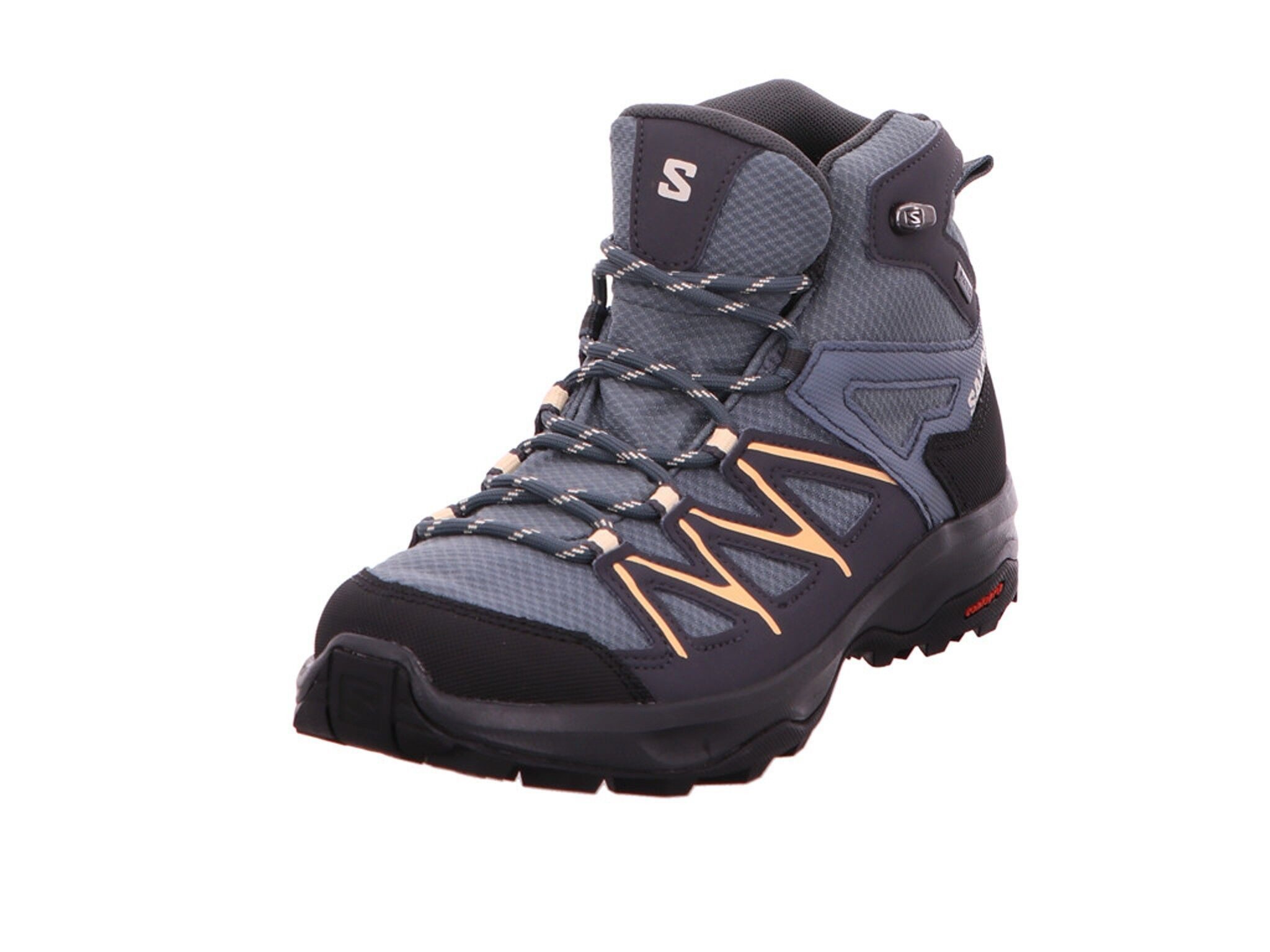 Salomon DAINTREE MID GTX Туристические ботинки