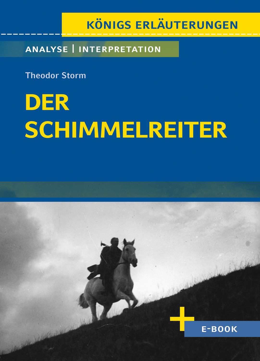 Schulbuch Der Schimmelreiter von Theodor Storm Textanalyse und Interpretation Theodor Storm