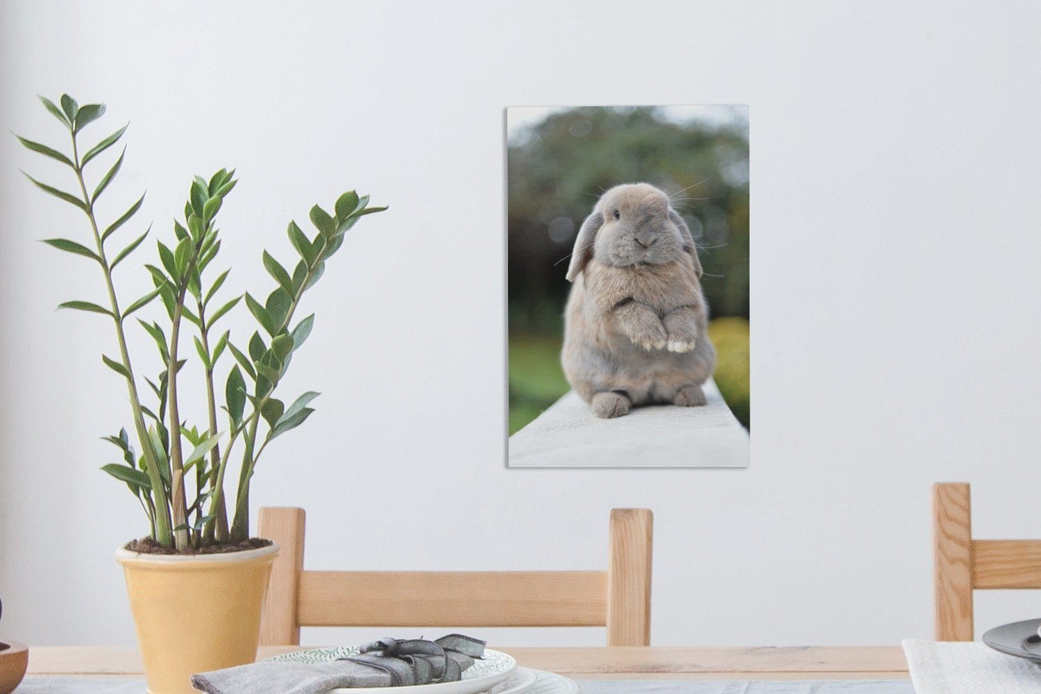 Gemälde, Zackenaufhänger, Tiere, fertig Jung inkl. cm Kaninchen Leinwandbild - - (1 OneMillionCanvasses® St), bespannt Leinwandbild 20x30