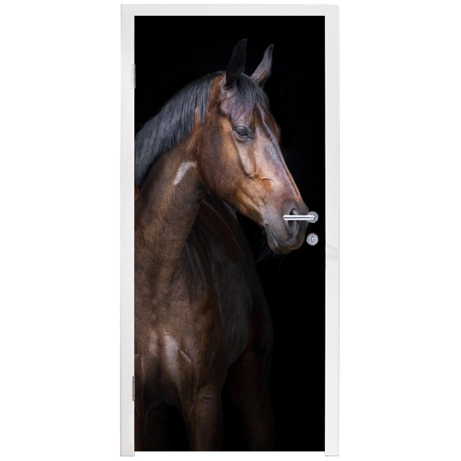 - Pferde Türaufkleber, bedruckt, 75x205 Tiere Braun, MuchoWow cm Porträt Tür, - - (1 Türtapete für Fototapete St), Matt,