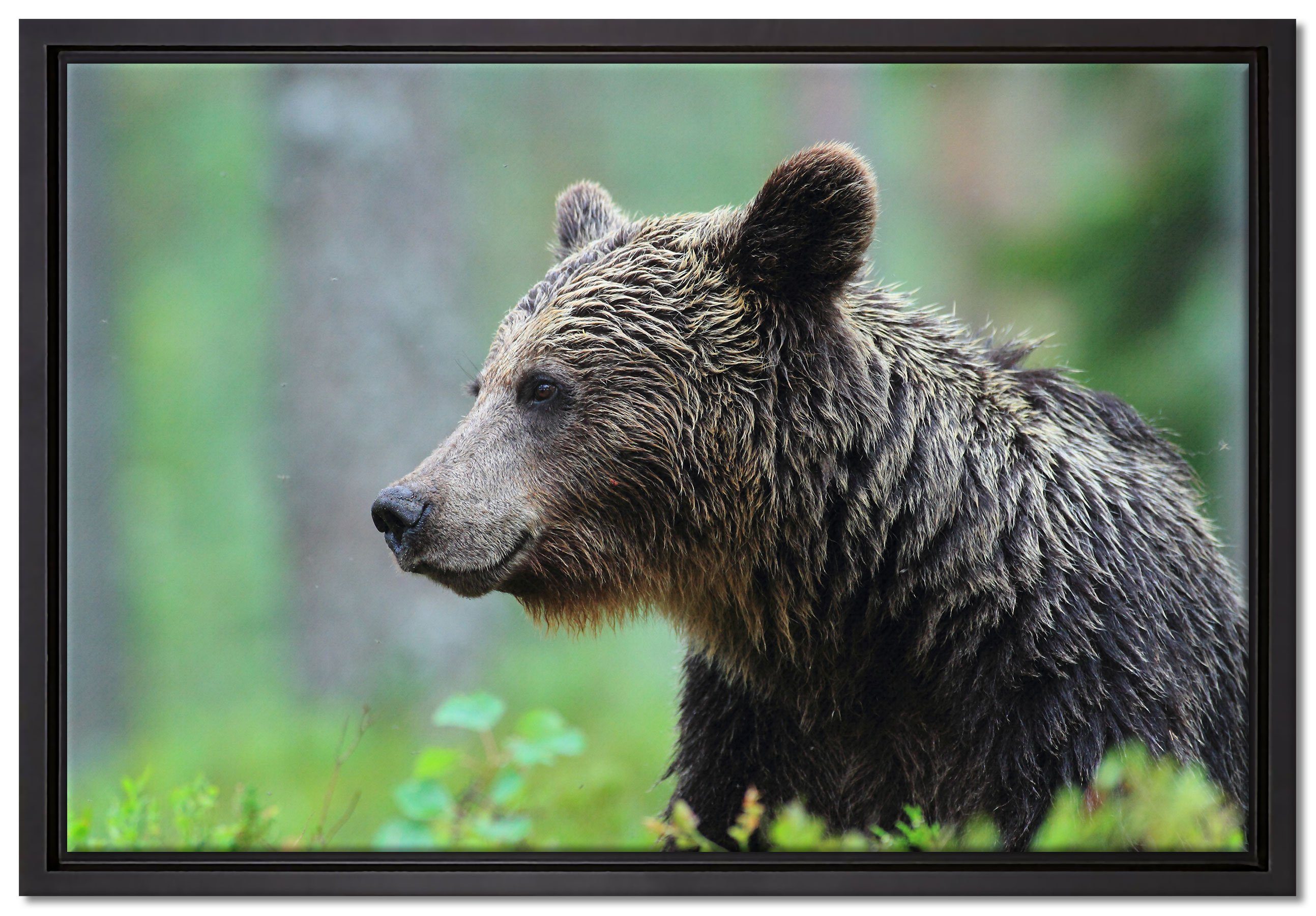 Schattenfugen-Bilderrahmen bespannt, gefasst, Wanddekoration St), in fertig Pixxprint einem (1 Zackenaufhänger Leinwandbild inkl. Leinwandbild Kleiner Bär,