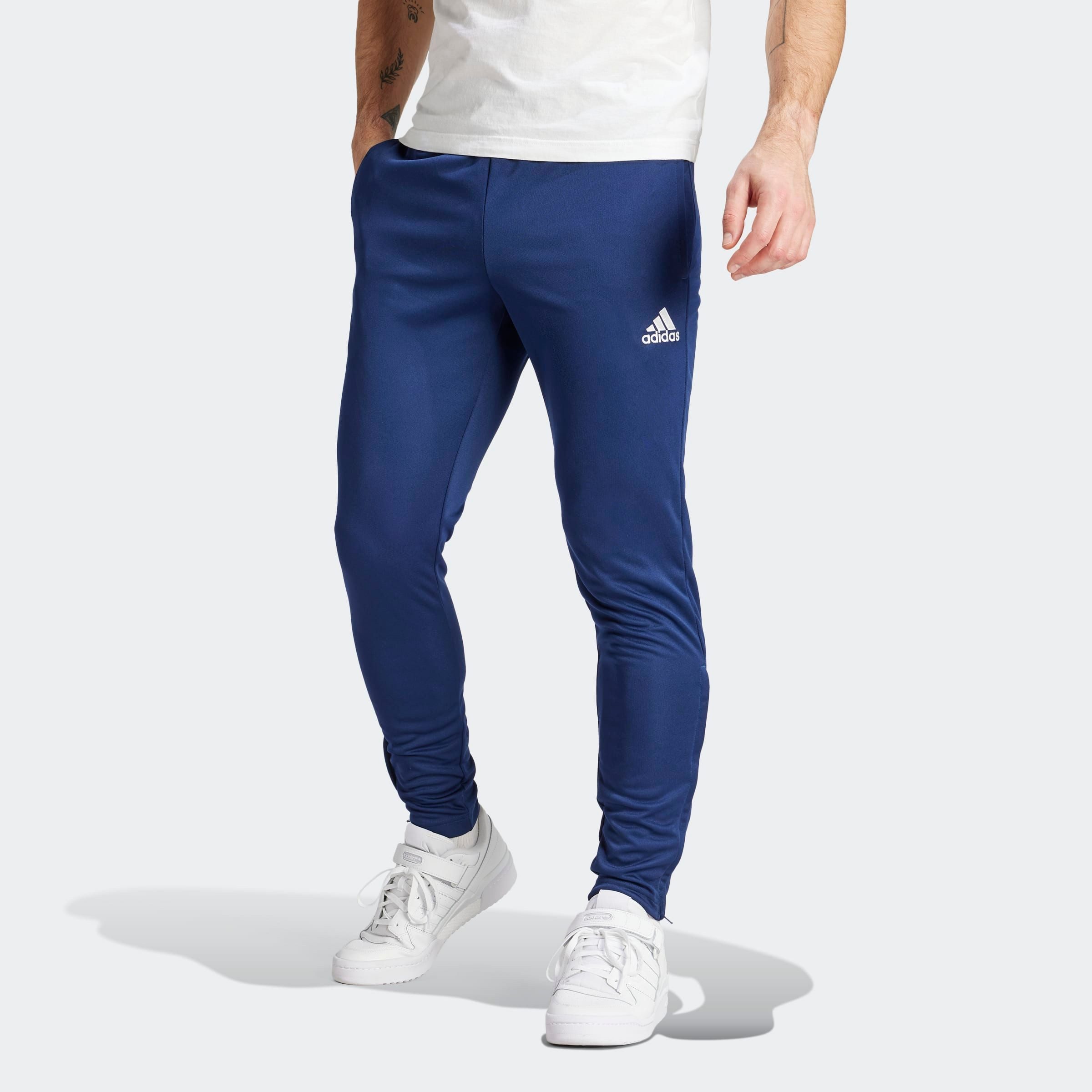 adidas Performance Trainingshose ENT22 TR PNT (1-tlg) günstig online kaufen