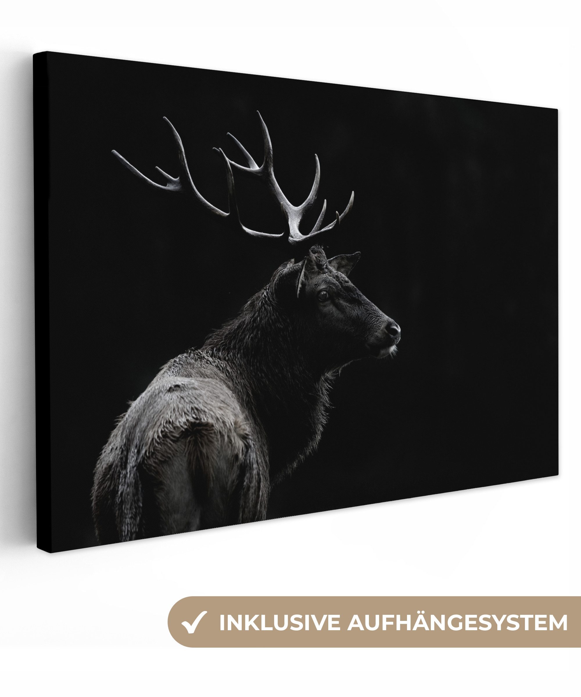 OneMillionCanvasses® Leinwandbild Hirsch - Schwarz - Weiß - Geweih, Fotodru günstig online kaufen