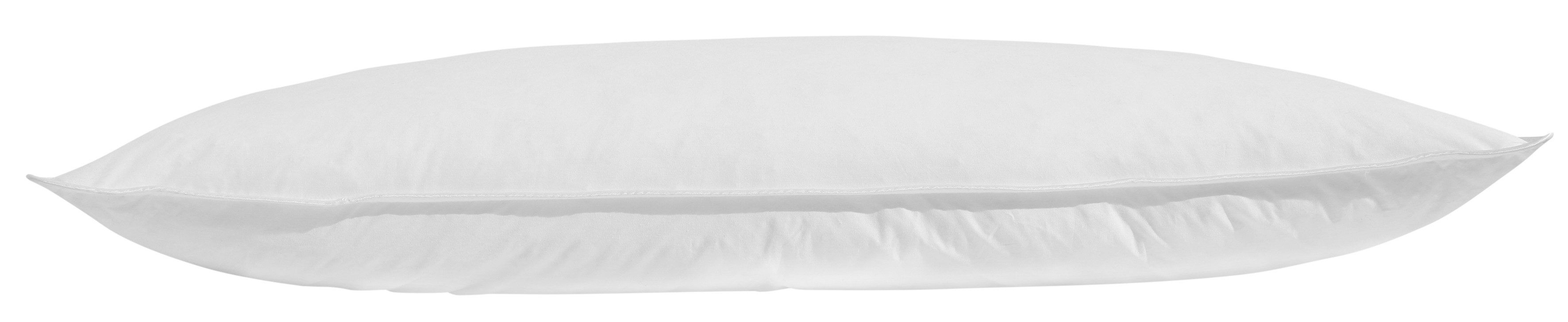 my home Federkopfkissen Cyra, Kissen 40x80 günstig online kaufen
