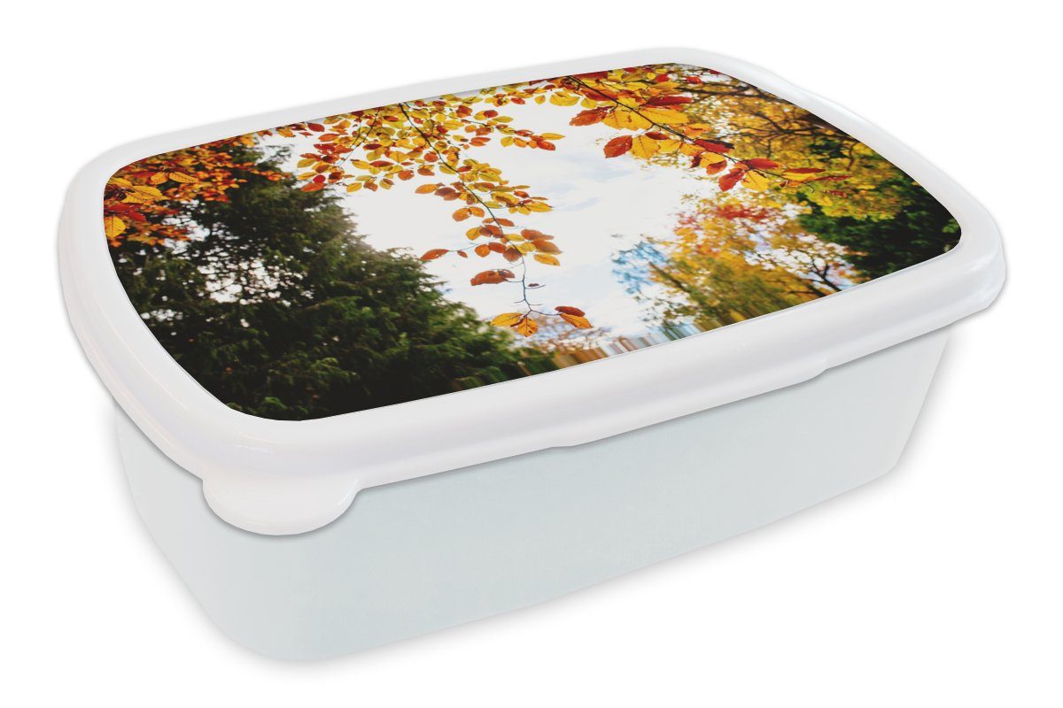 MuchoWow Lunchbox Herbst - Laub - Natur, Kunststoff, (2-tlg), Brotbox für Kinder und Erwachsene, Brotdose, für Jungs und Mädchen weiß