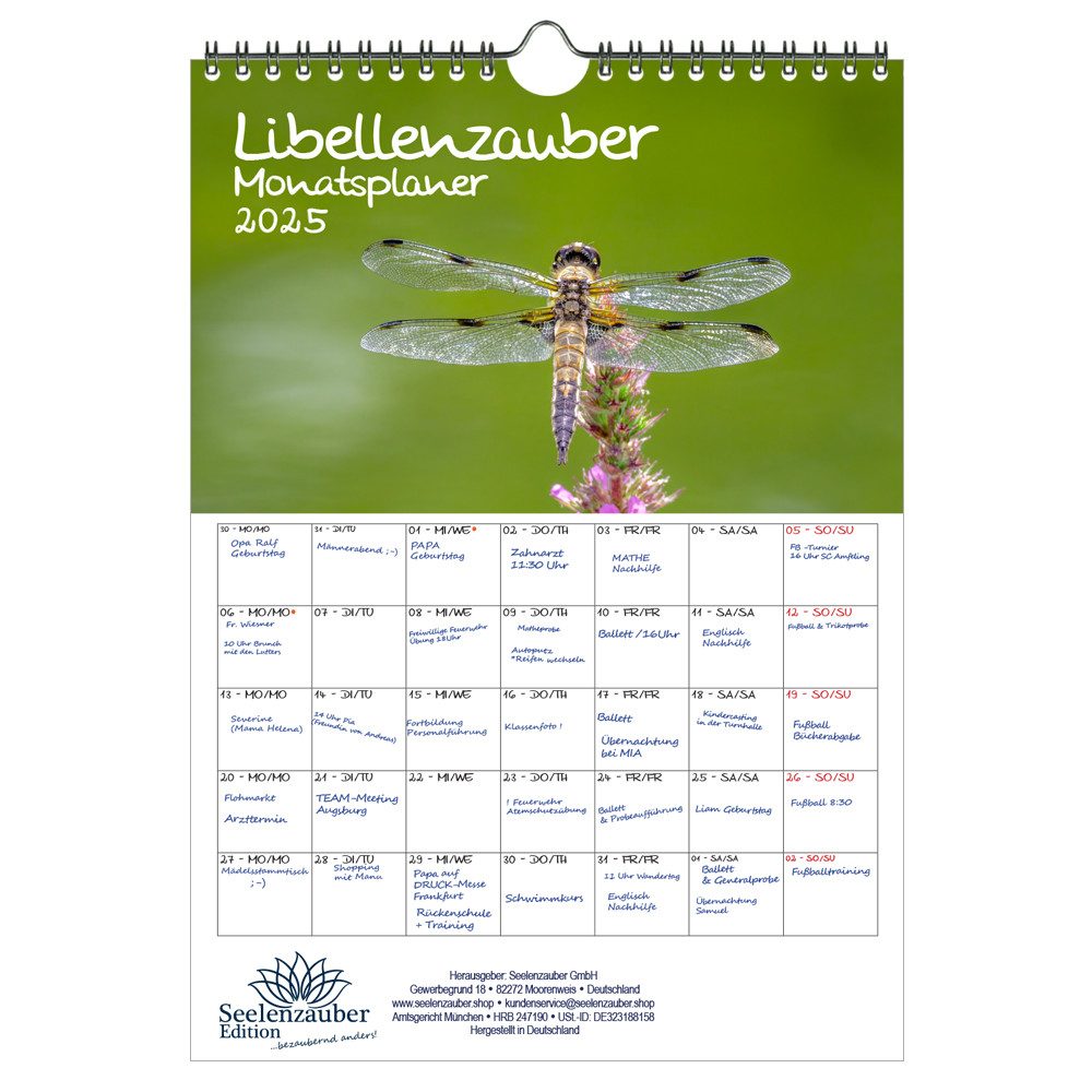 Seelenzauber Wandkalender Libellenzauber Wand Planer Kalender für 2025