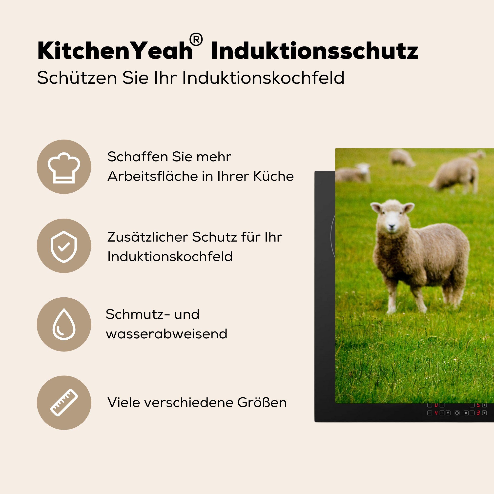 Gras (1 Schafe Tiere, nutzbar, tlg), Arbeitsfläche Herdblende-/Abdeckplatte 70x52 Ceranfeldabdeckung cm, - - Mobile Vinyl, MuchoWow