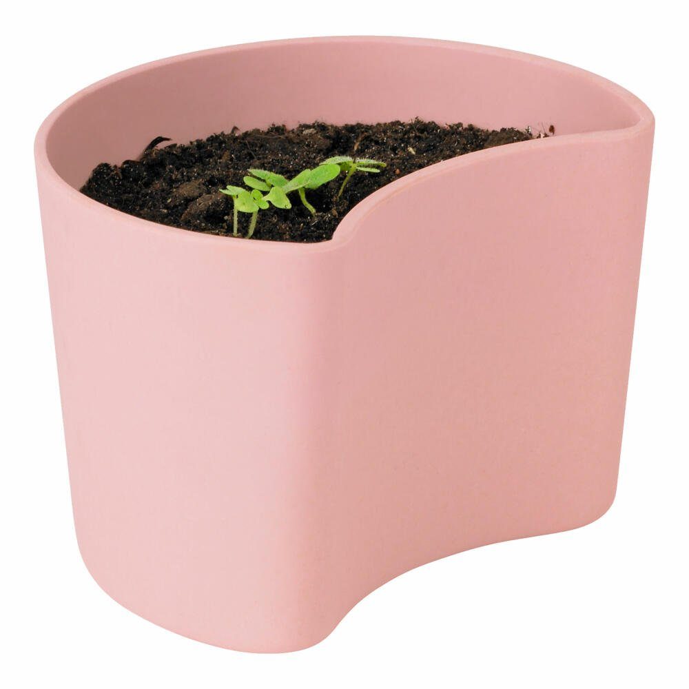 RIG-TIG Anzuchttopf YOUR TREE mit Samen Pink