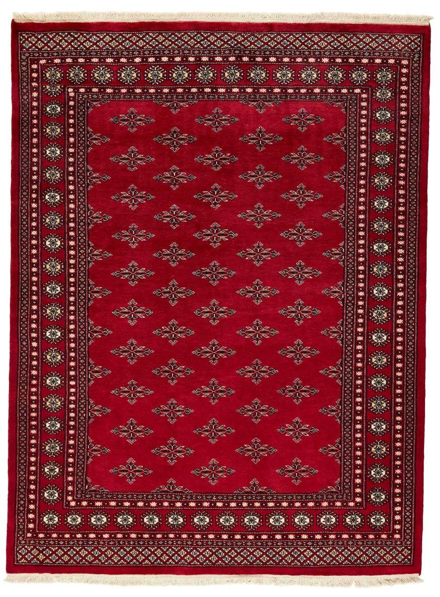 Orientteppich Pakistan Buchara 2ply 169x225 Handgeknüpfter Orientteppich,  Nain Trading, rechteckig, Höhe: 8 mm