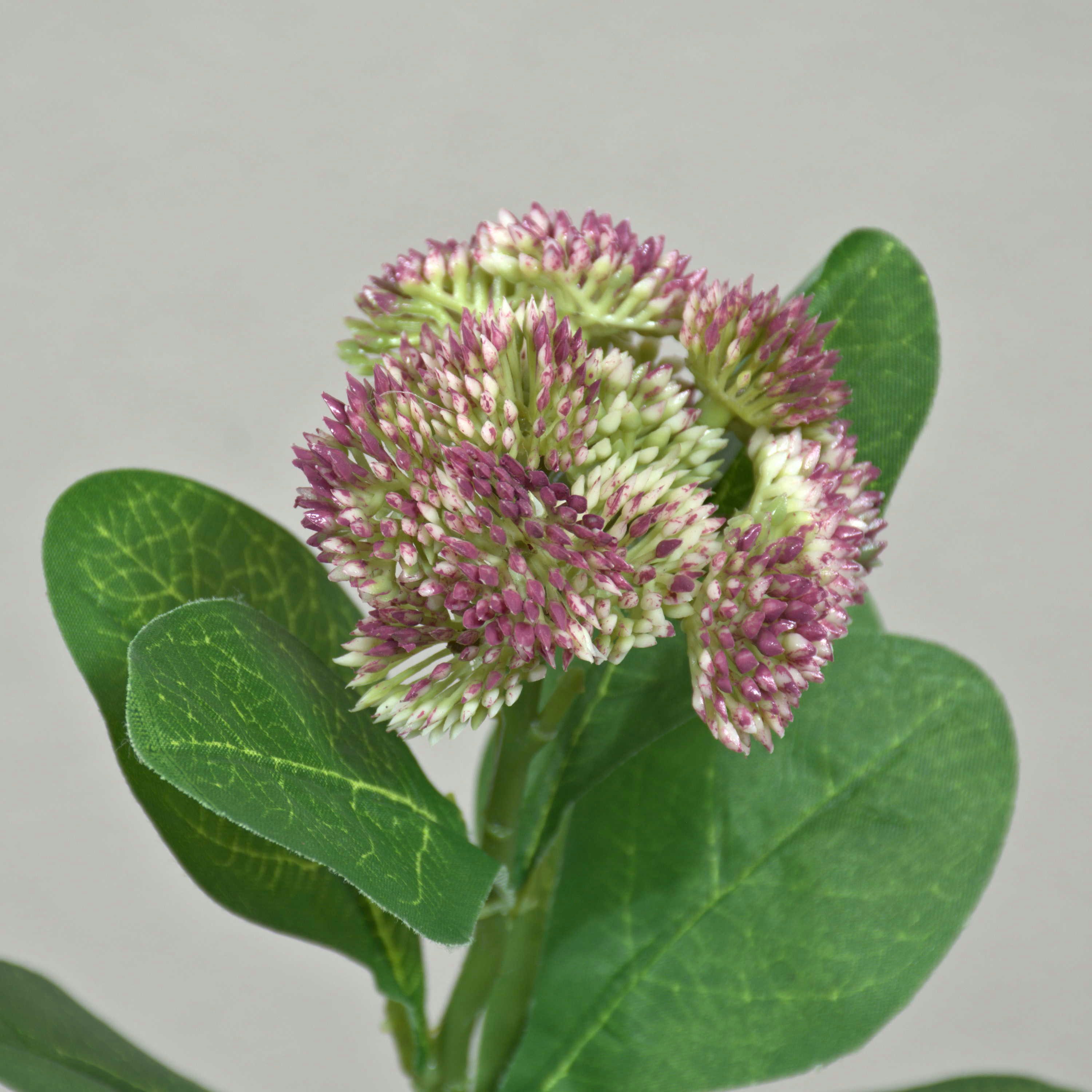 Kunstblume Sedum telephium Blüte EILIDH, rosa-Creme, 30cm Sedum (Sedum telephium), artplants, Höhe 30.0 cm