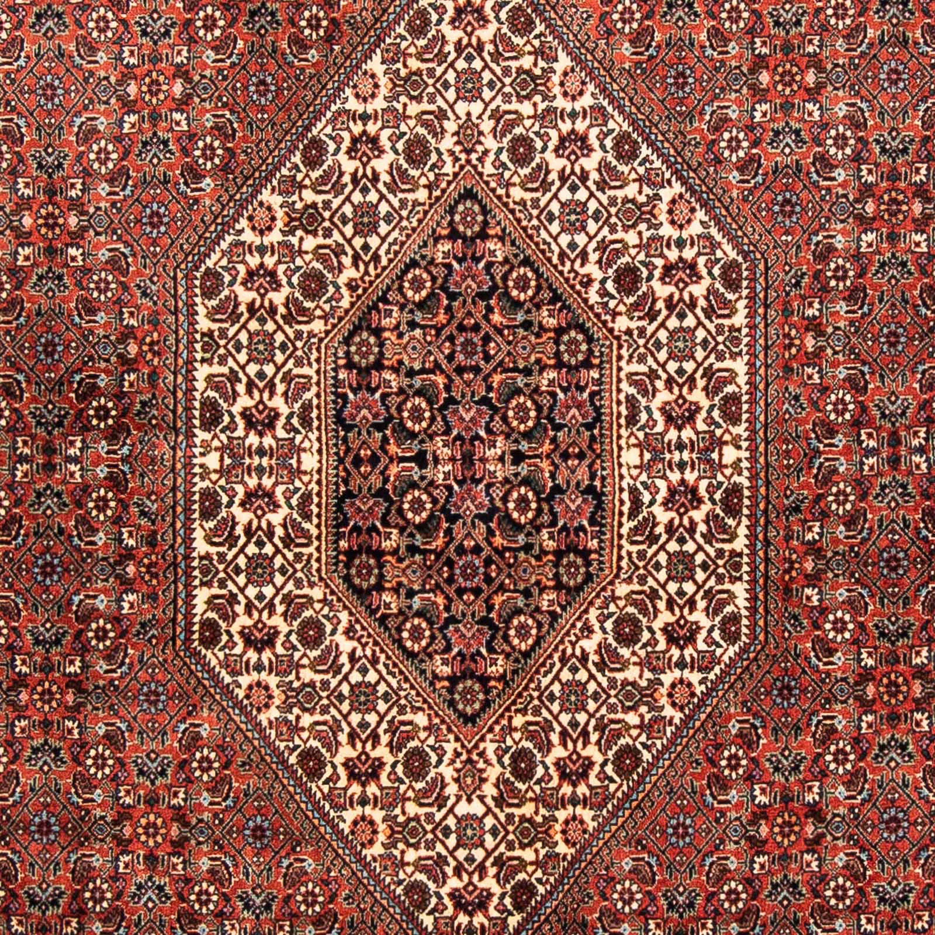 Orientteppich Perser - Bidjar - 15 mit - x mm, Höhe: Einzelstück 150 cm rot, 252 morgenland, Handgeknüpft, Wohnzimmer, rechteckig, Zertifikat