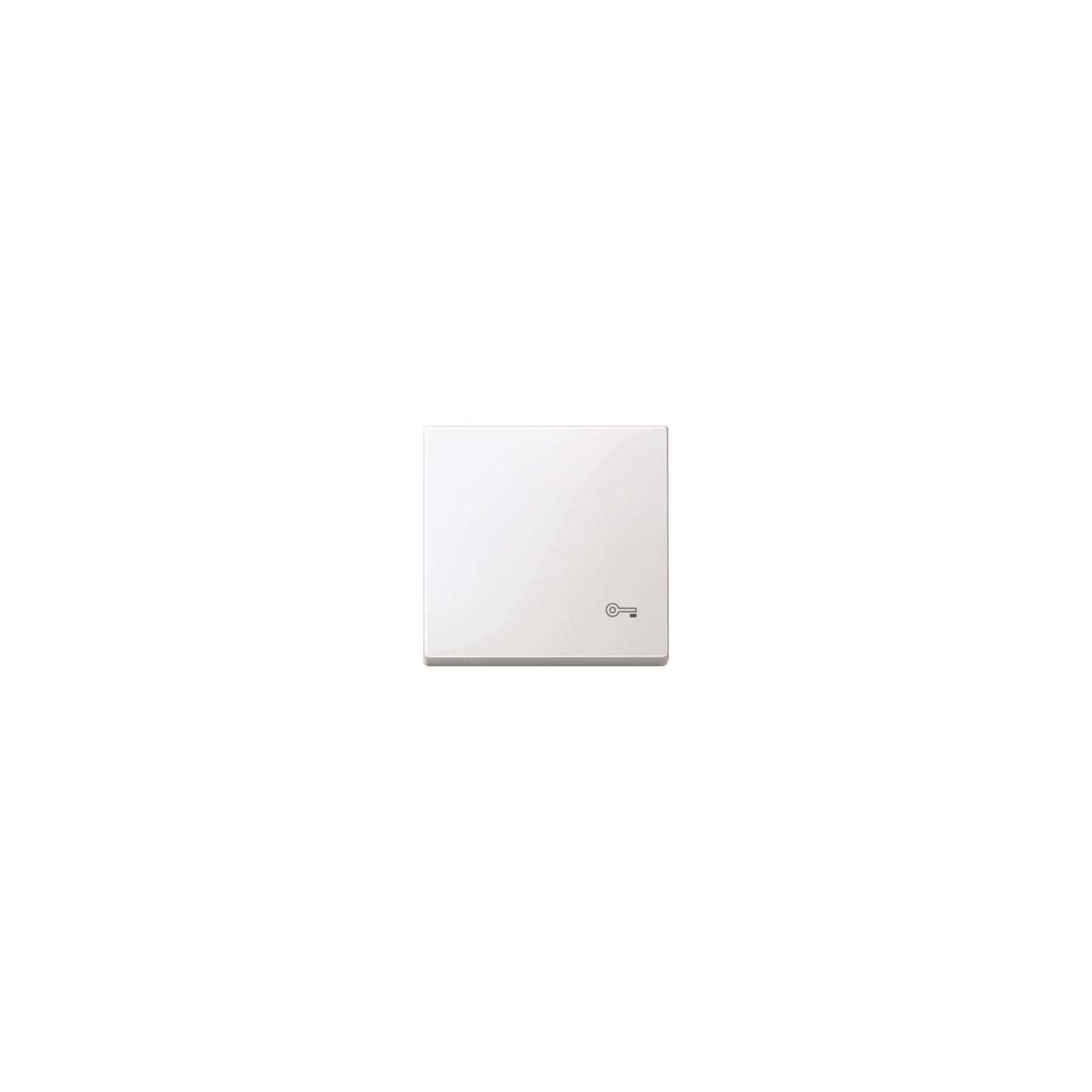 merten Schalter Merten Wippe Schlüssel pws/gl Wech/Kreuz/Tast/Ein. MEG3303-0319