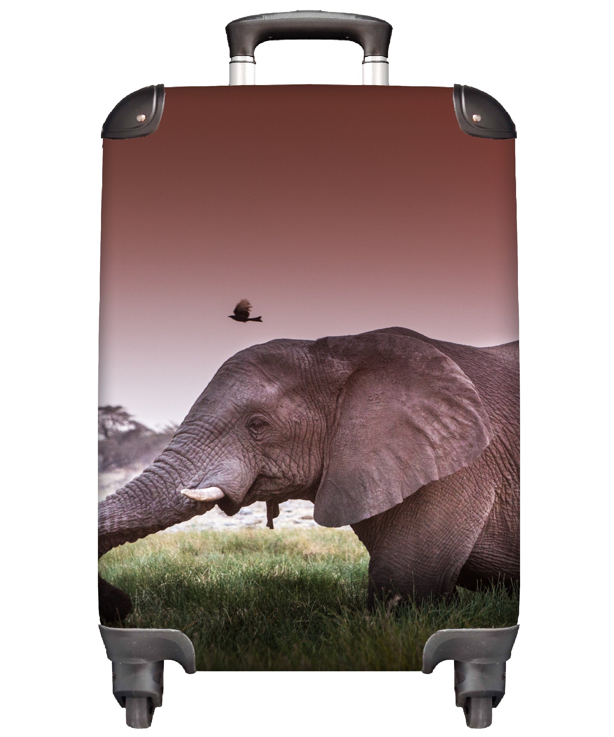 - Tiere, Handgepäckkoffer rollen, Trolley, für - - Gras Sonne 4 Handgepäck Ferien, Reisekoffer Elefant mit Reisetasche Rollen, MuchoWow