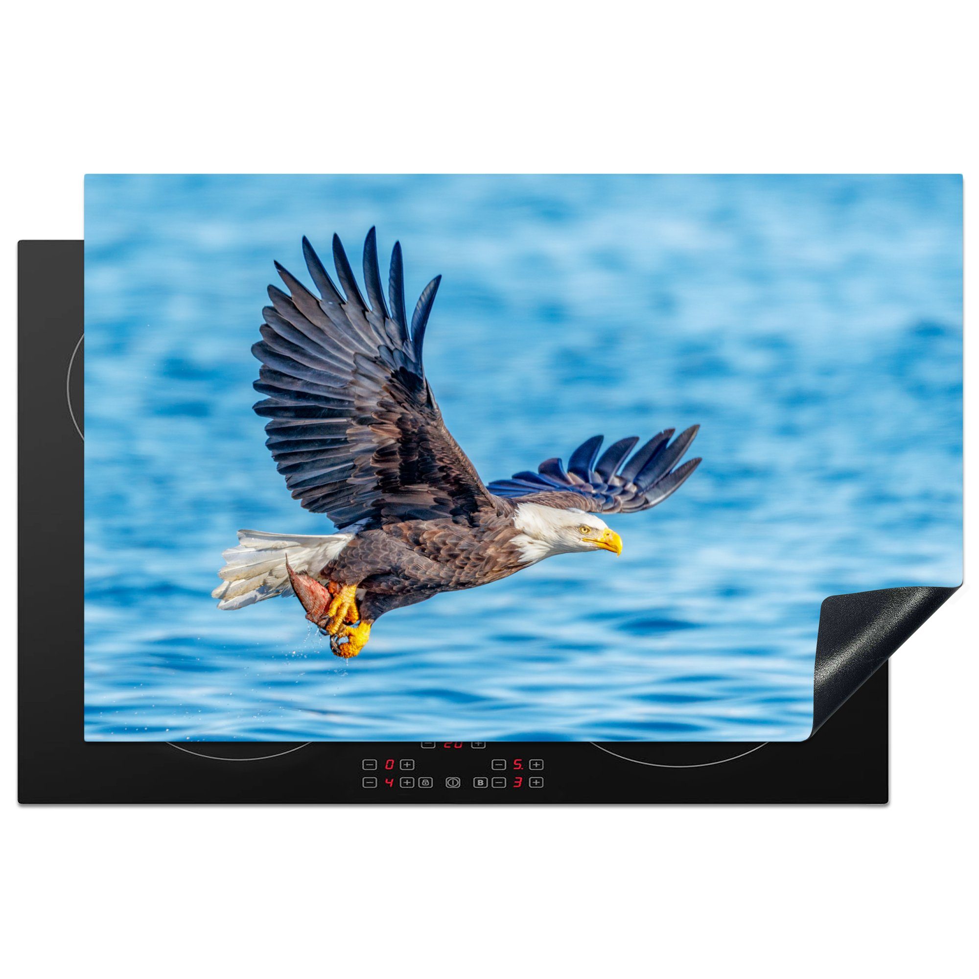 81x52 cm, Herdblende-/Abdeckplatte Meer Vogel Vinyl, - Schutz (1 küche, für Jagd, MuchoWow Ceranfeldabdeckung Induktionskochfeld tlg), die -