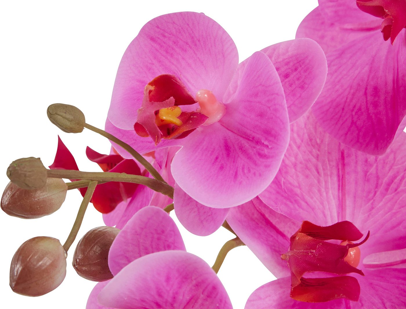 Kunstpflanze »Orchidee« Orchidee, Leonique, Höhe 38 cm, Kunstorchidee, im Topf-kaufen