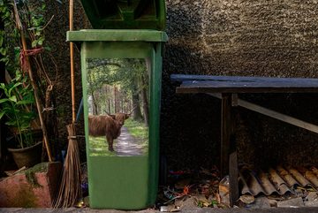 MuchoWow Wandsticker Schottischer Highlander - Kröte - Baum (1 St), Mülleimer-aufkleber, Mülltonne, Sticker, Container, Abfalbehälter
