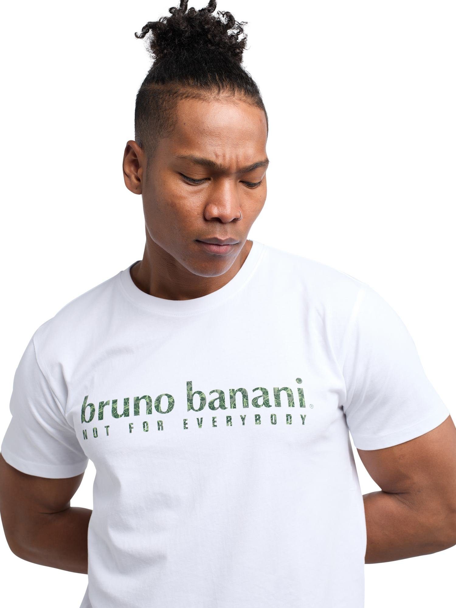 Bruno Banani T-Shirt Abbott Grün Weiß 