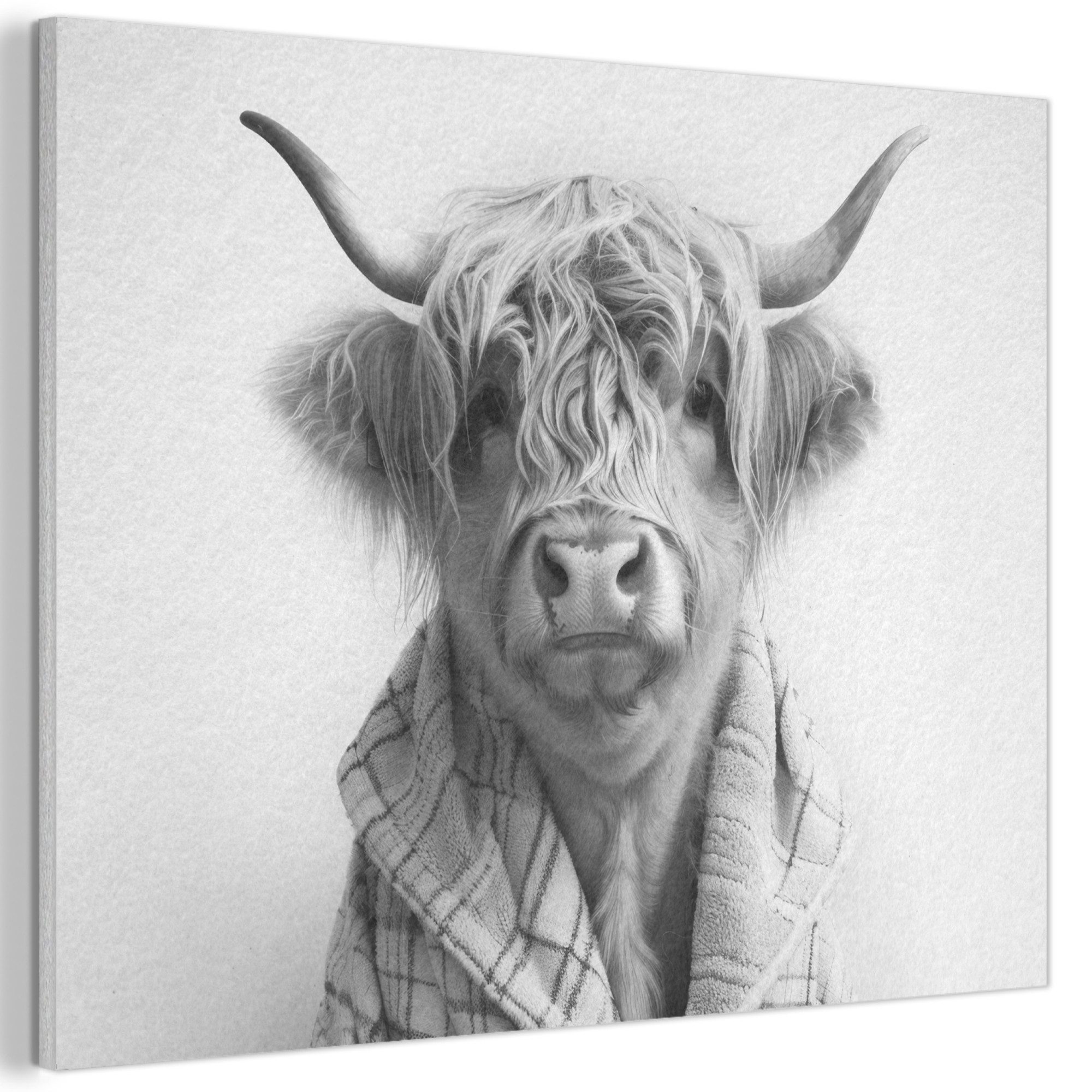 MuchoWow Gemälde Scottish Highlander - Kuh - Bademantel - Schwarz und Weiß, Fotodruck (1 St), Akustikbilder Schallabsorber, Wandpaneele, Akustikpaneele 70x50 cm