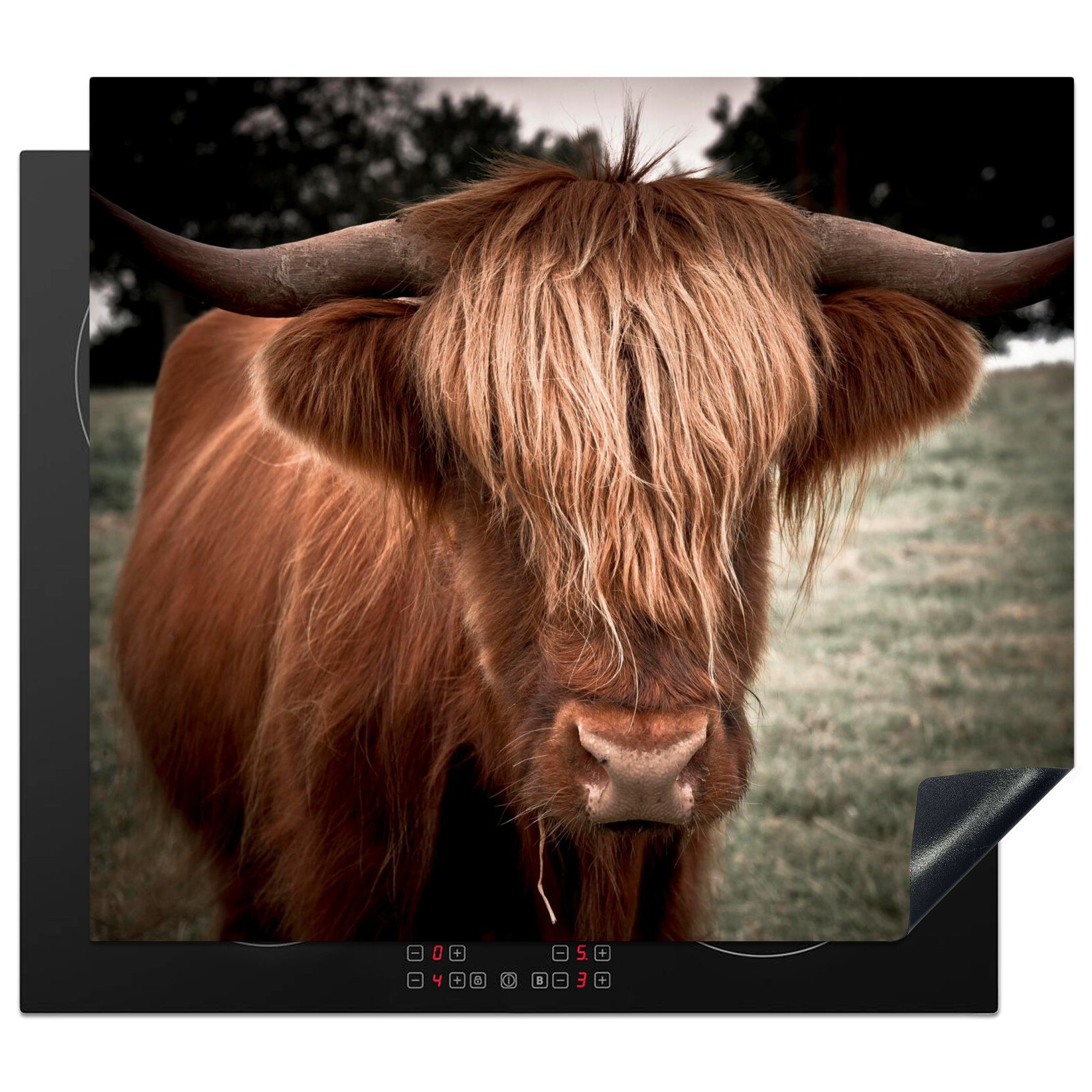 MuchoWow Herdblende-/Abdeckplatte Schottischer Highlander - Baum - Gras, Vinyl, (1 tlg), 59x52 cm, Ceranfeldabdeckung für die küche, Induktionsmatte