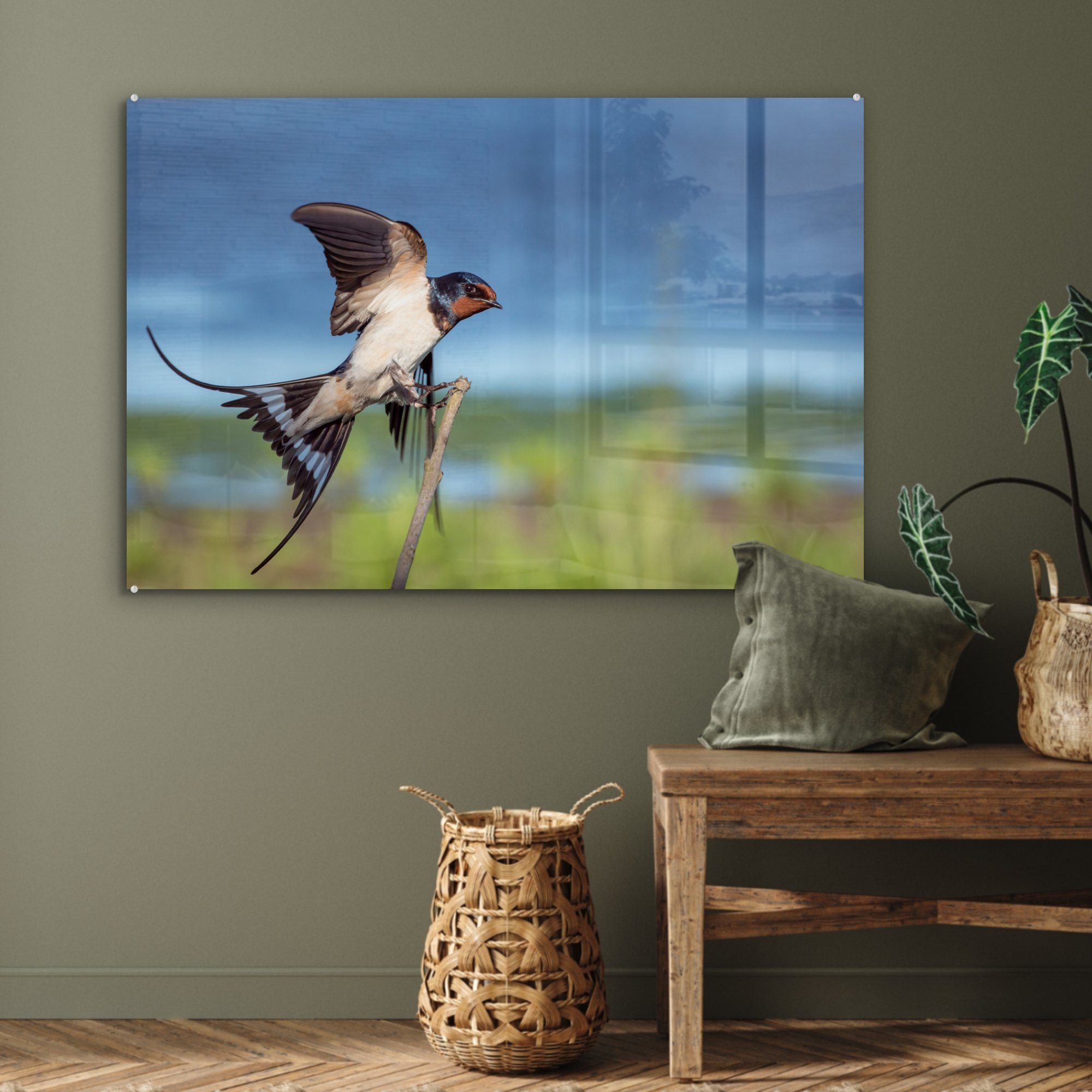 MuchoWow Acrylglasbild - Acrylglasbilder Wohnzimmer - & St), (1 Fliegen, Schwalbe Vogel Schlafzimmer