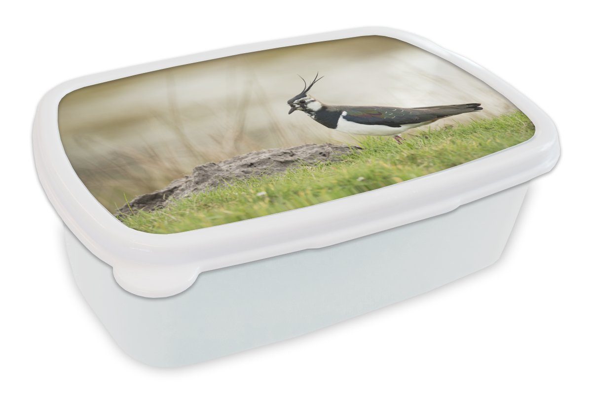 MuchoWow Lunchbox Vogel - Gras - Tiere - Natur - Kiebitz, Kunststoff, (2-tlg), Brotbox für Kinder und Erwachsene, Brotdose, für Jungs und Mädchen weiß