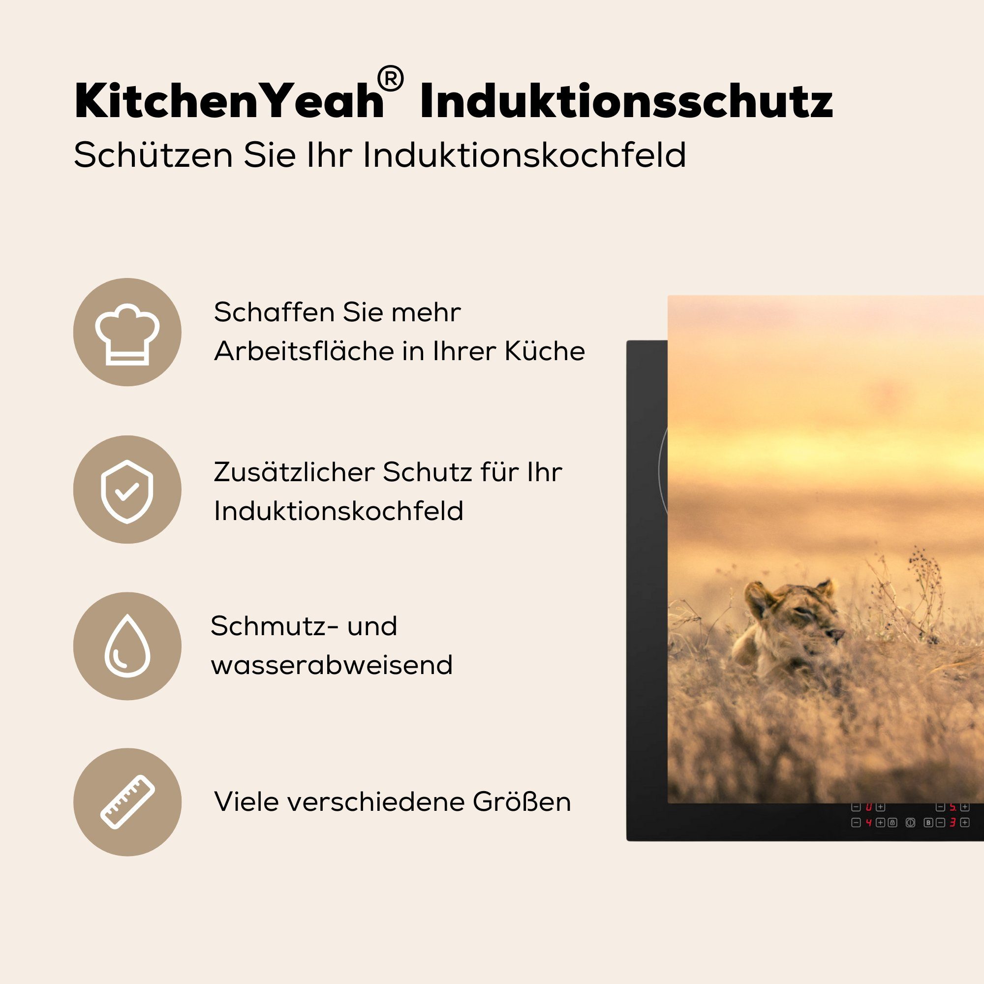 MuchoWow Herdblende-/Abdeckplatte Löwen - tlg), Schutz (1 Himmel, cm, Gras die Vinyl, - 81x52 küche, für Ceranfeldabdeckung Induktionskochfeld