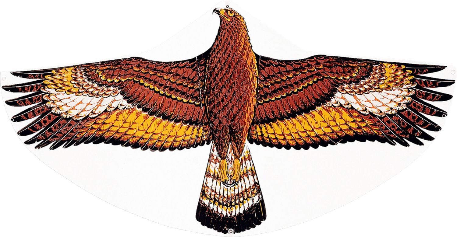 Günther Spiel Drachen Steinadler, 122x68cm GÜNTHE von Günther