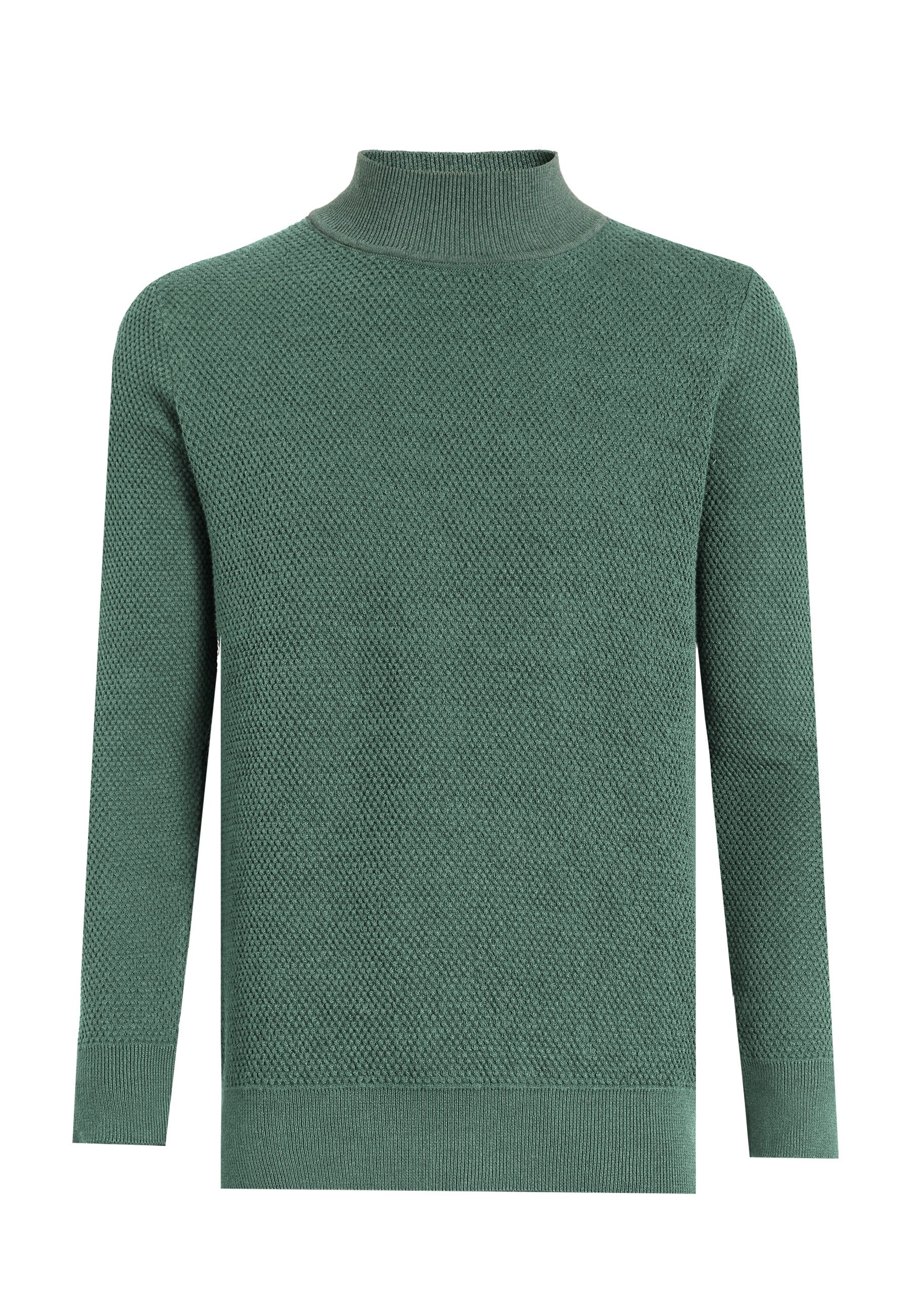 Felix Hardy Rollkragenpullover Rollkragenpullover