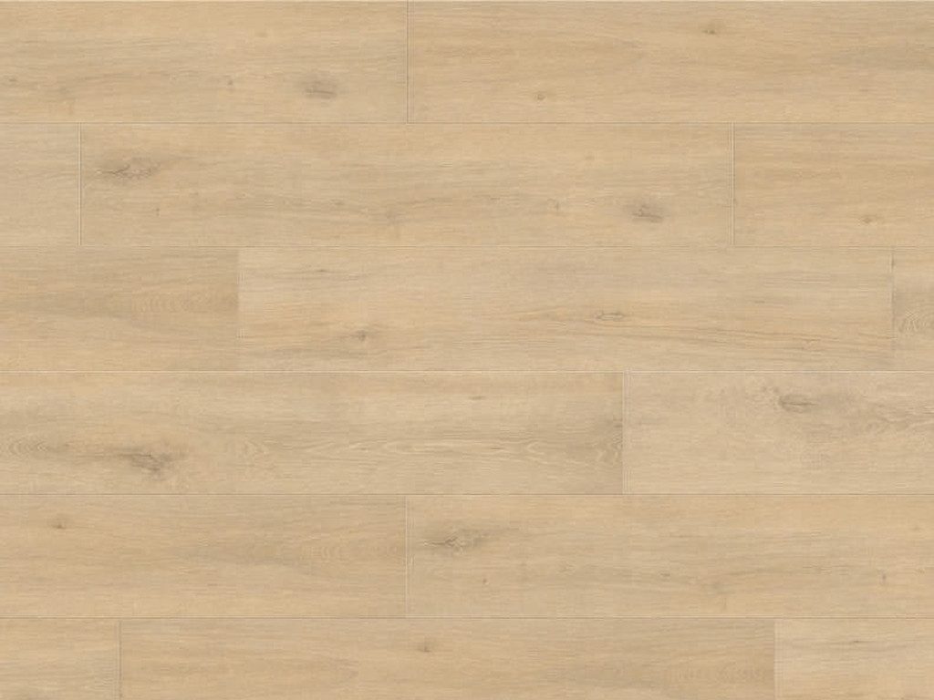 HARO Laminat HARO Laminat Tritty 100 Eiche Landhausdiele 8 mm, 8 St.