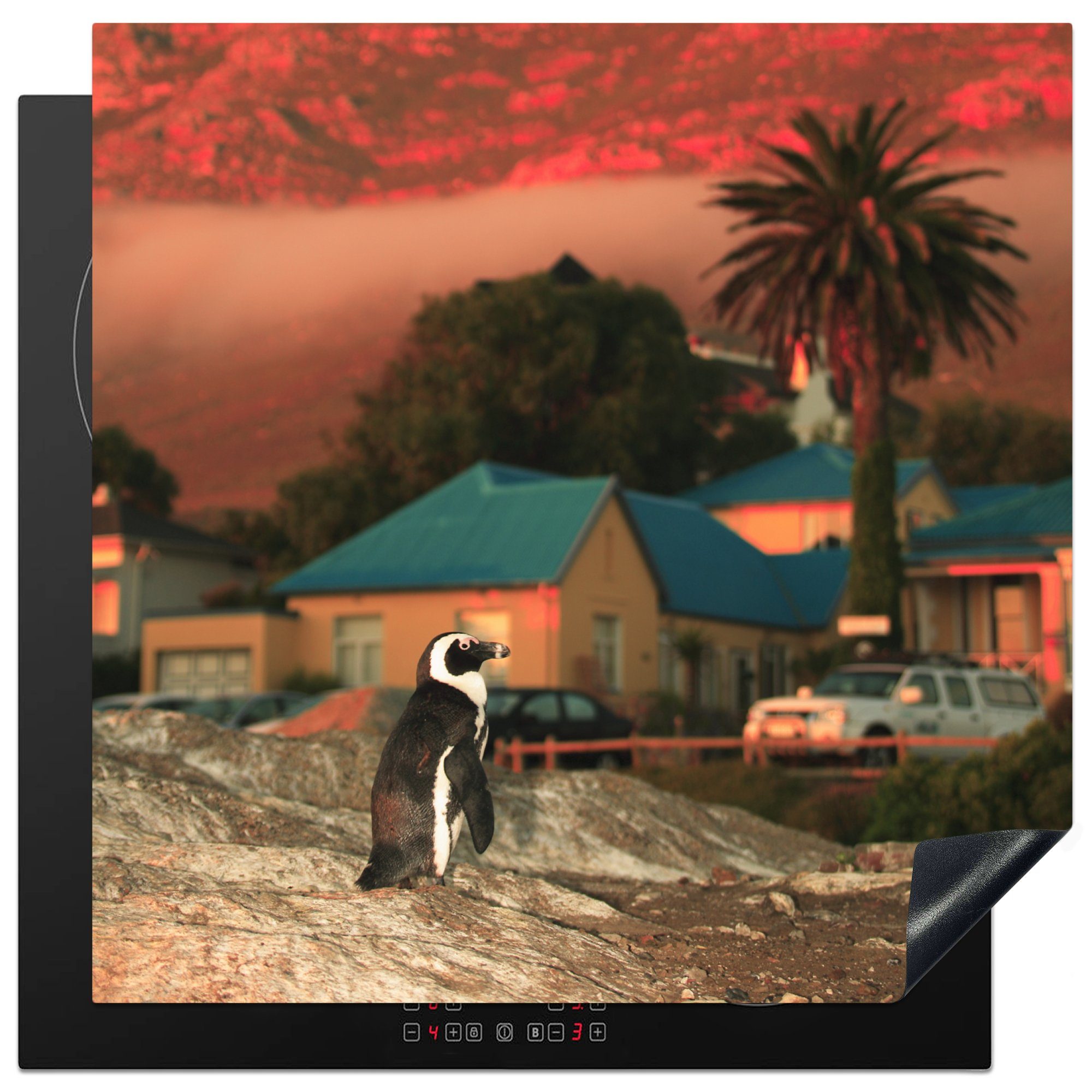 von 78x78 tlg), bei auf Ceranfeldabdeckung, cm, den Beach Pinguin Vinyl, küche MuchoWow Herdblende-/Abdeckplatte Felsen für Sonnenuntergang, Arbeitsplatte Boulders (1