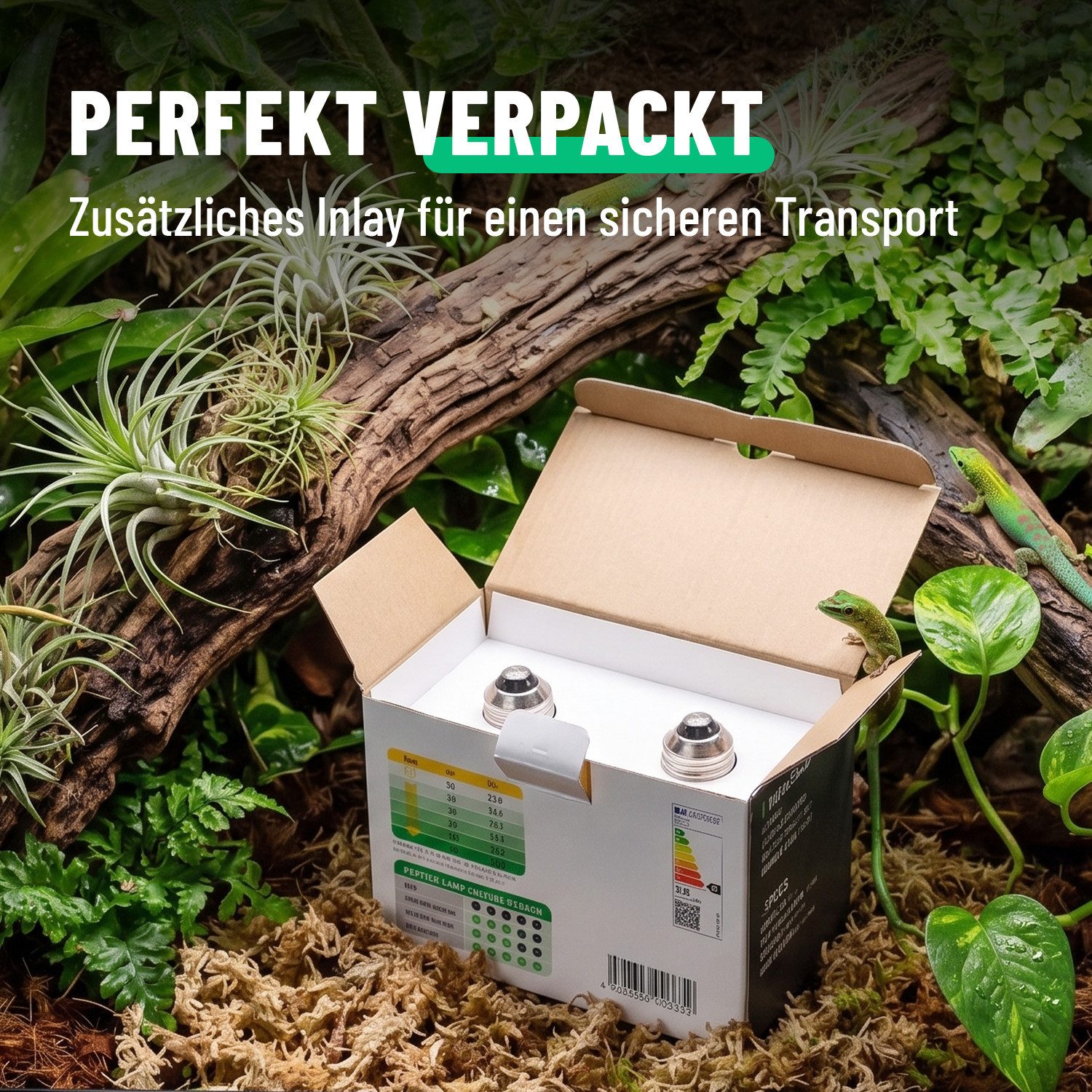 greate. Terrarienleuchte UVA Terrarium Lampe E27 50W - 4er Pack Reptilien Wärmelampe, warmweiß – Bild 5 von 5