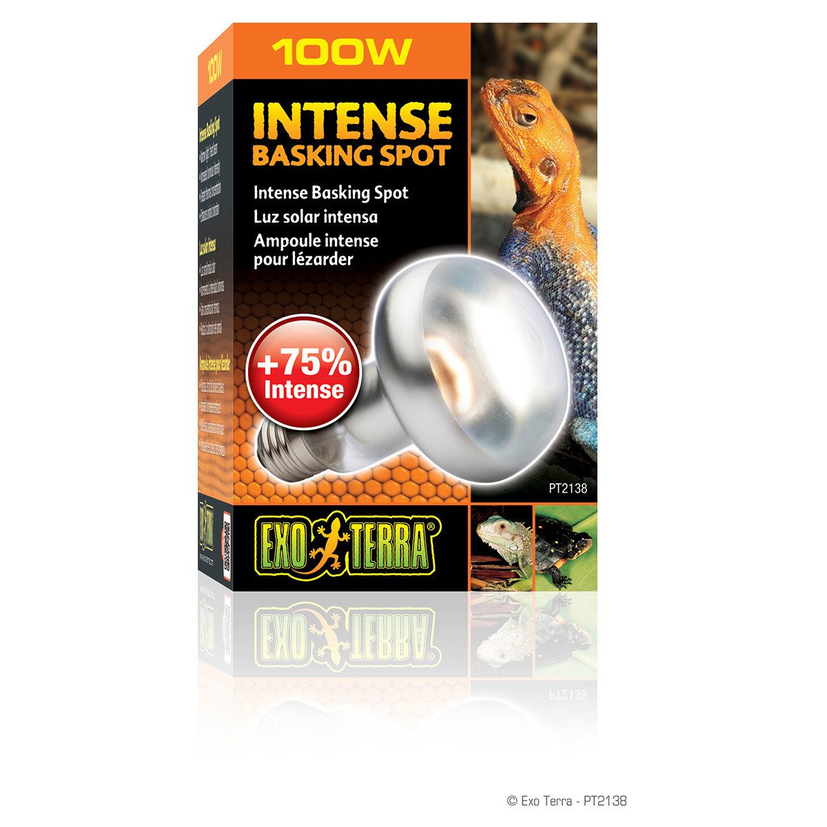 Exo Terra Terrarienleuchte Intense Basking Spot günstig online kaufen
