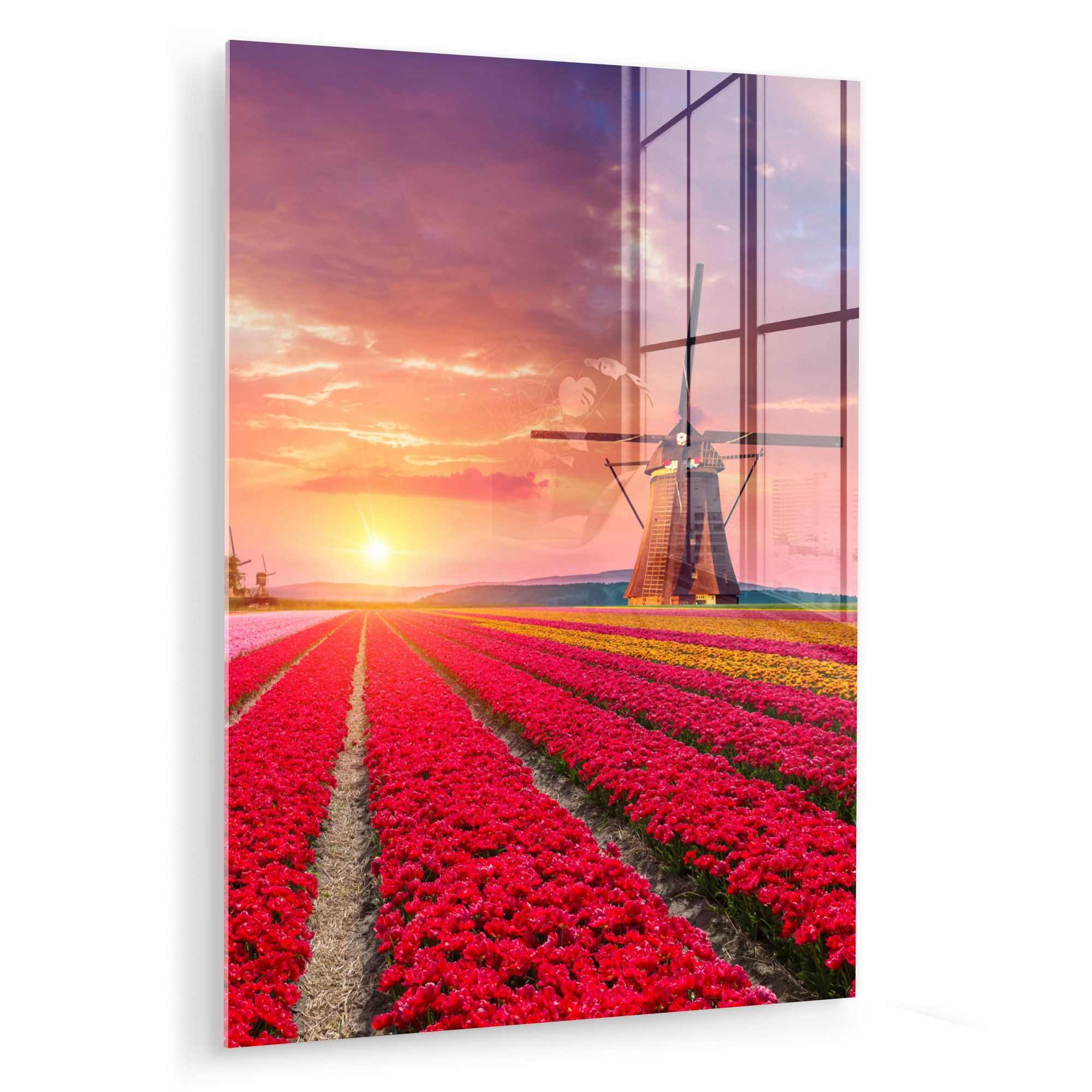 MuchoWow Acrylglasbild Blumen - Tulpen - günstig online kaufen