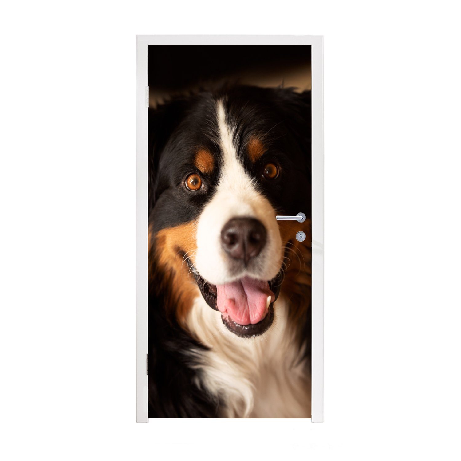 MuchoWow Türtapete Berner Sennenhund schaut in die Kamera, Matt, bedruckt, (1 St), Fototapete für Tür, Türaufkleber, 75x205 cm