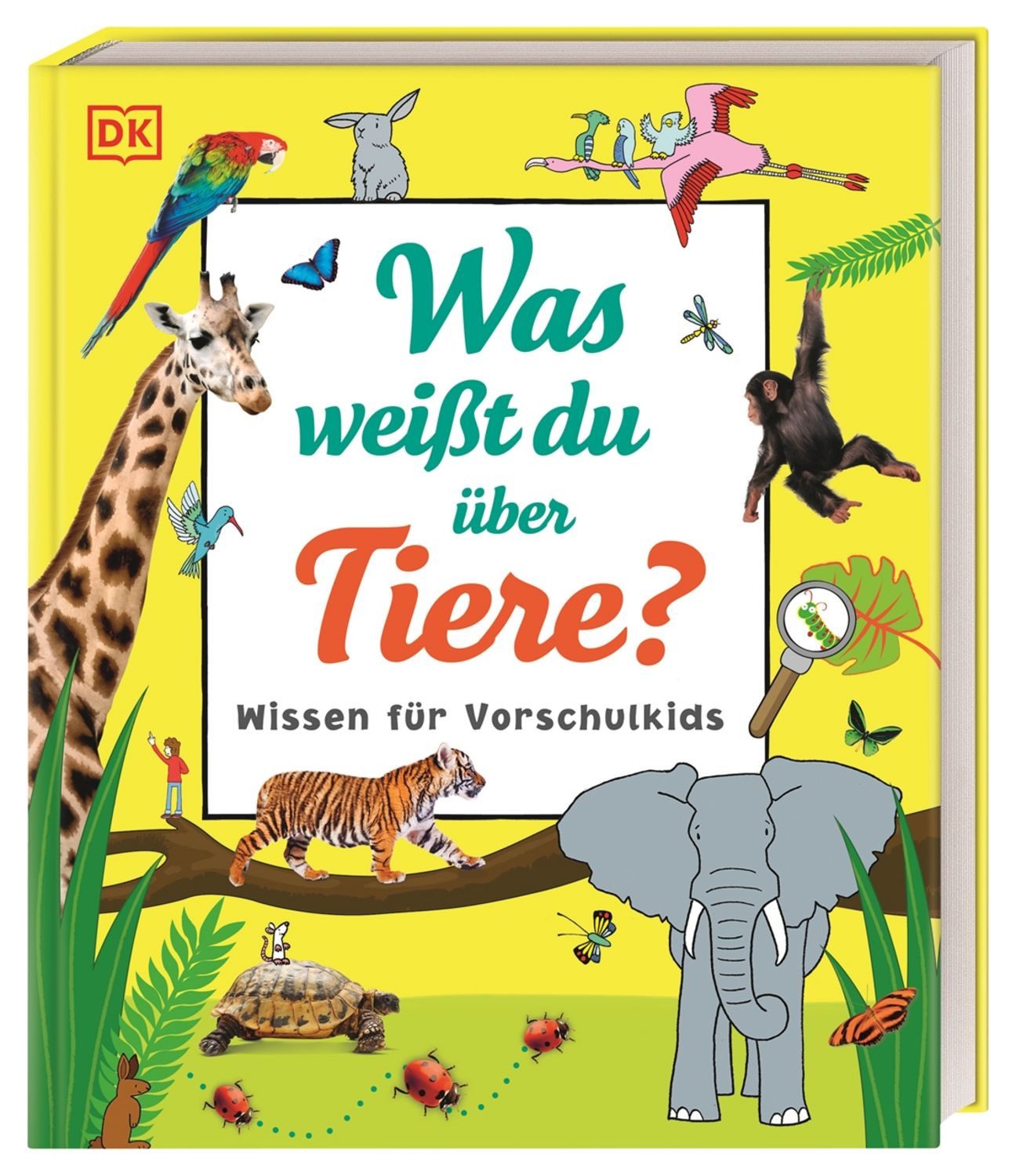 Wissen für Vorschulkids. Was weißt du über Tiere? / diverse