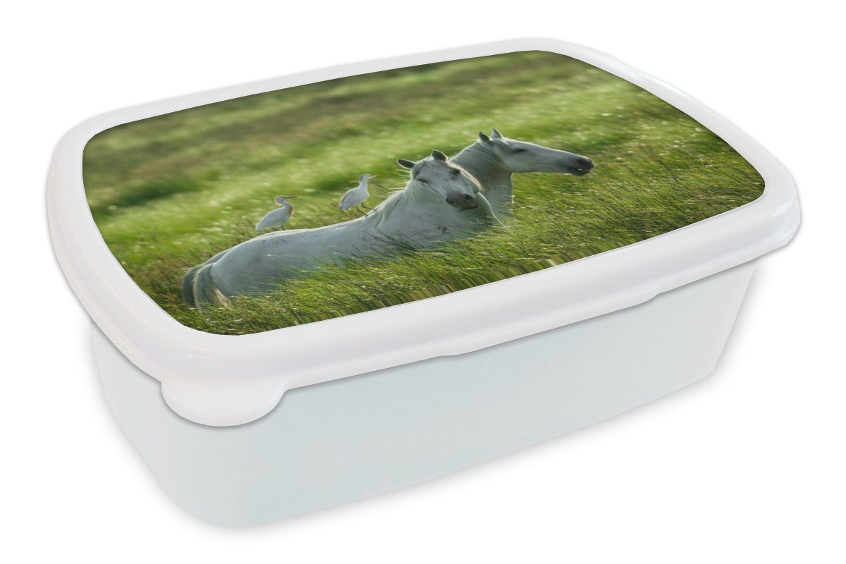 MuchoWow Lunchbox Pferde - Vogel - Gras, Kunststoff, (2-tlg), Brotbox für Kinder und Erwachsene, Brotdose, für Jungs und Mädchen weiß