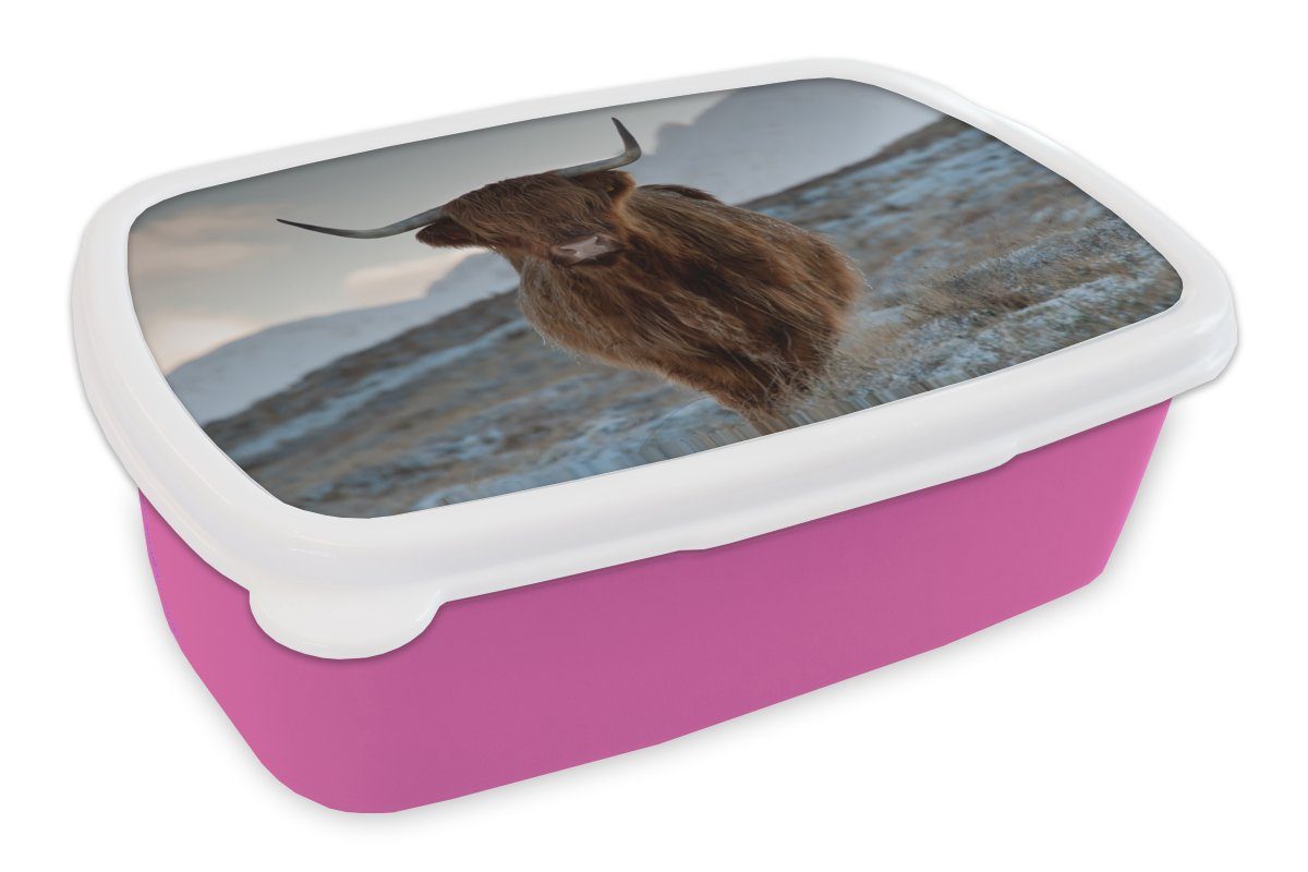 MuchoWow Lunchbox Schottischer Hochländer - Landschaft - Schottland, Kunststoff, (2-tlg), Brotbox für Erwachsene, Brotdose Kinder, Snackbox, Mädchen, Kunststoff rosa