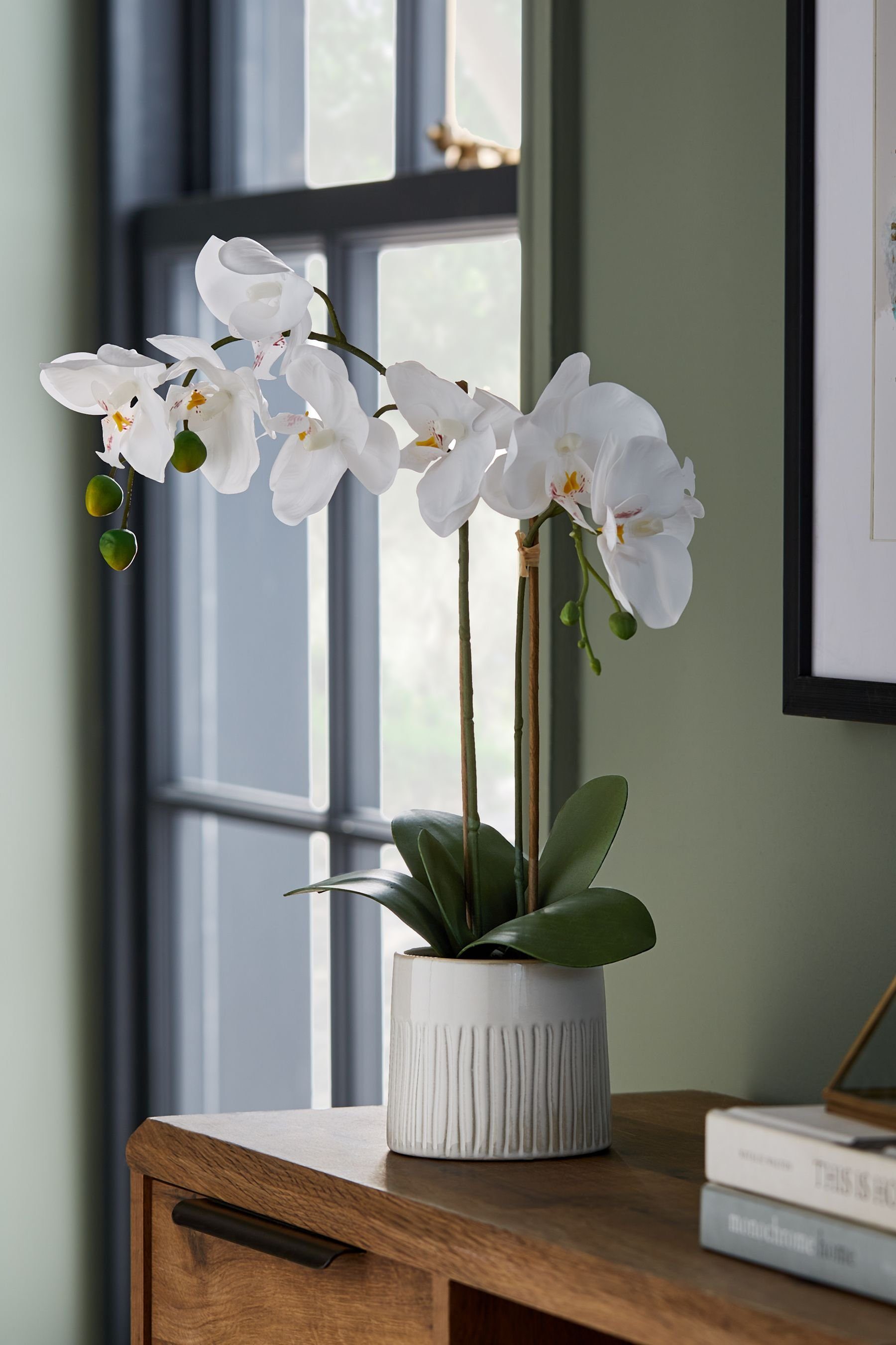 Künstliche im, Künstliche, Next aussehende Orchidee Zimmerpflanze echt