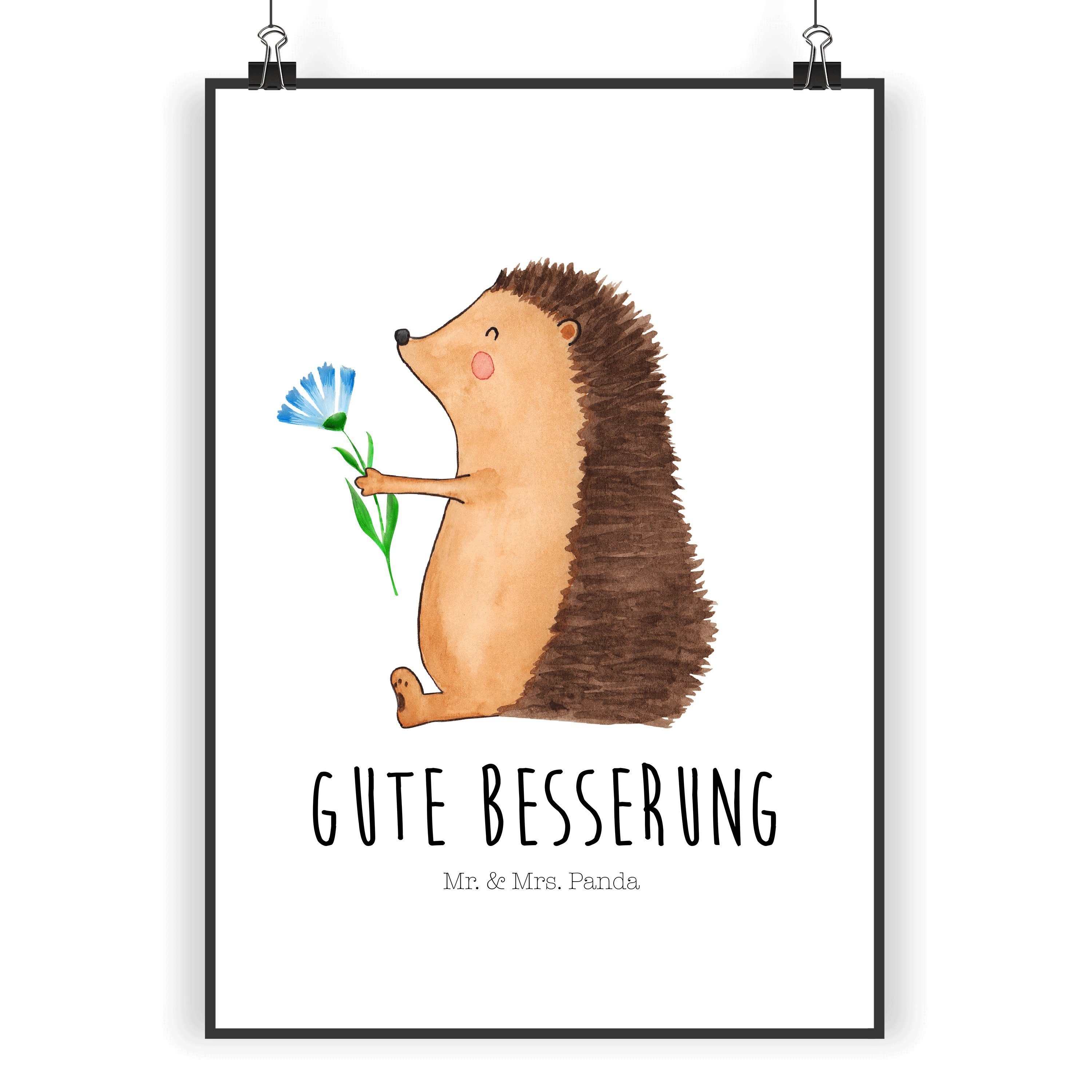 Mr. & Mrs. Panda Poster »Igel mit Blume Weiß Tiere, süße Tiermotive