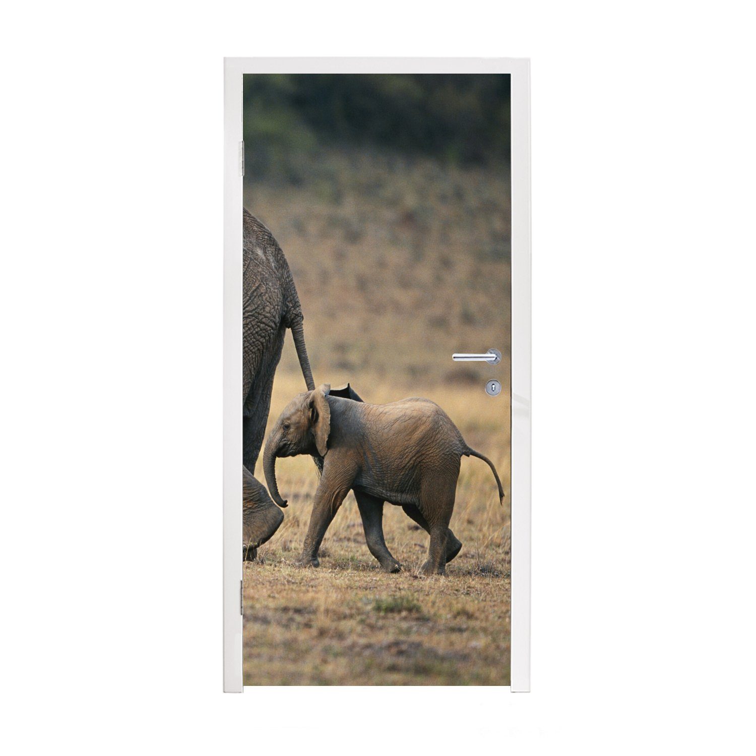 MuchoWow Türtapete Elefant - Tiere - Savanne - Natur, Matt, bedruckt, (1 St), Fototapete für Tür, Türaufkleber, 75x205 cm