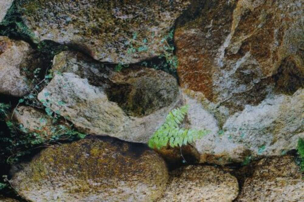 Terrarium Terrarienrückwand, GRANIT